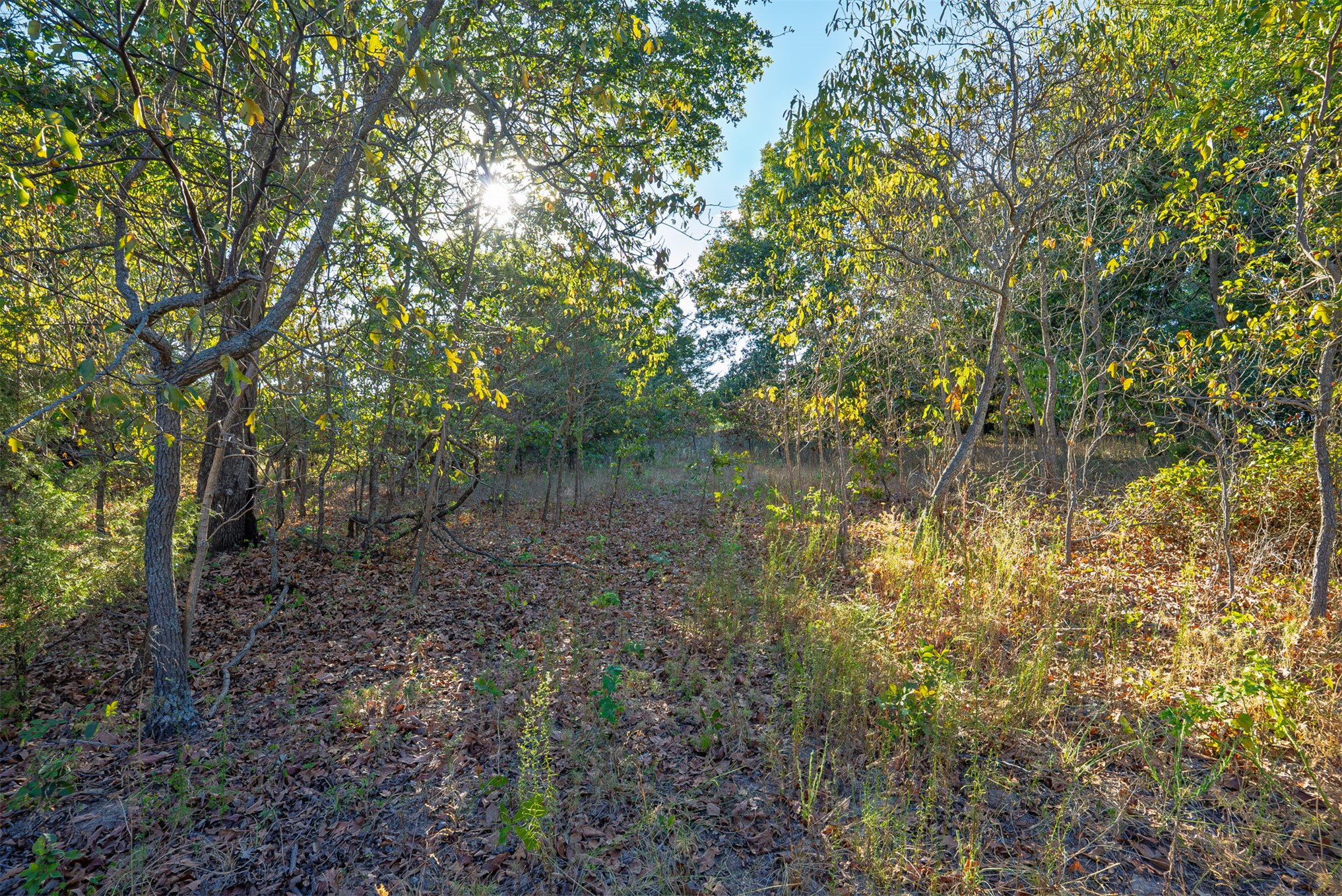 33 N 4256 Road Property Photo 45