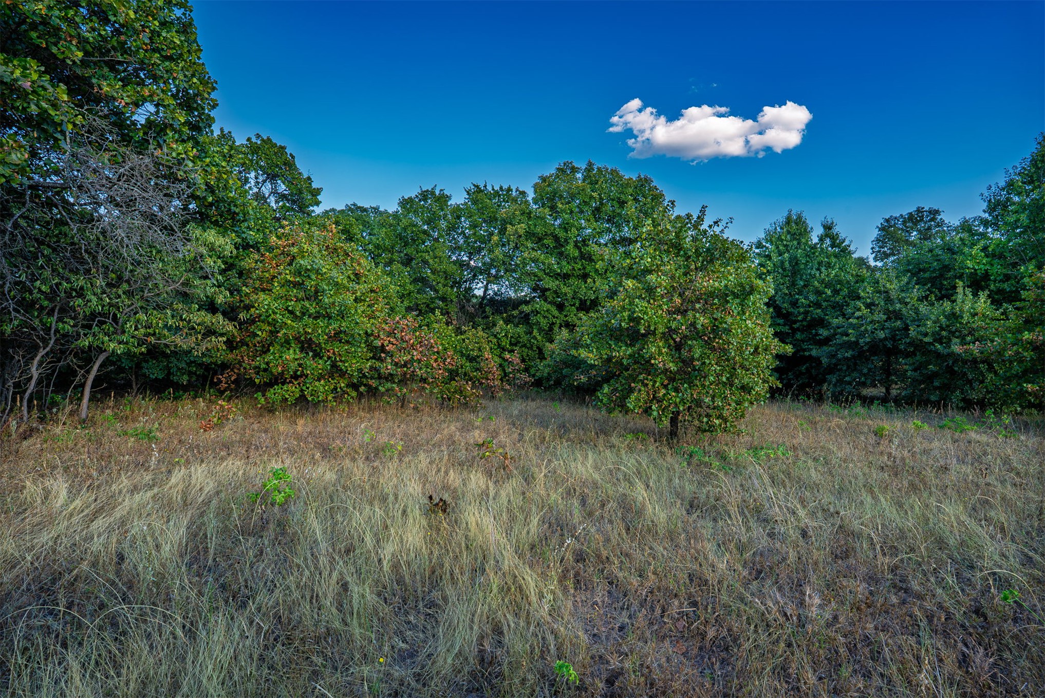 33 N 4256 Road Property Photo 46