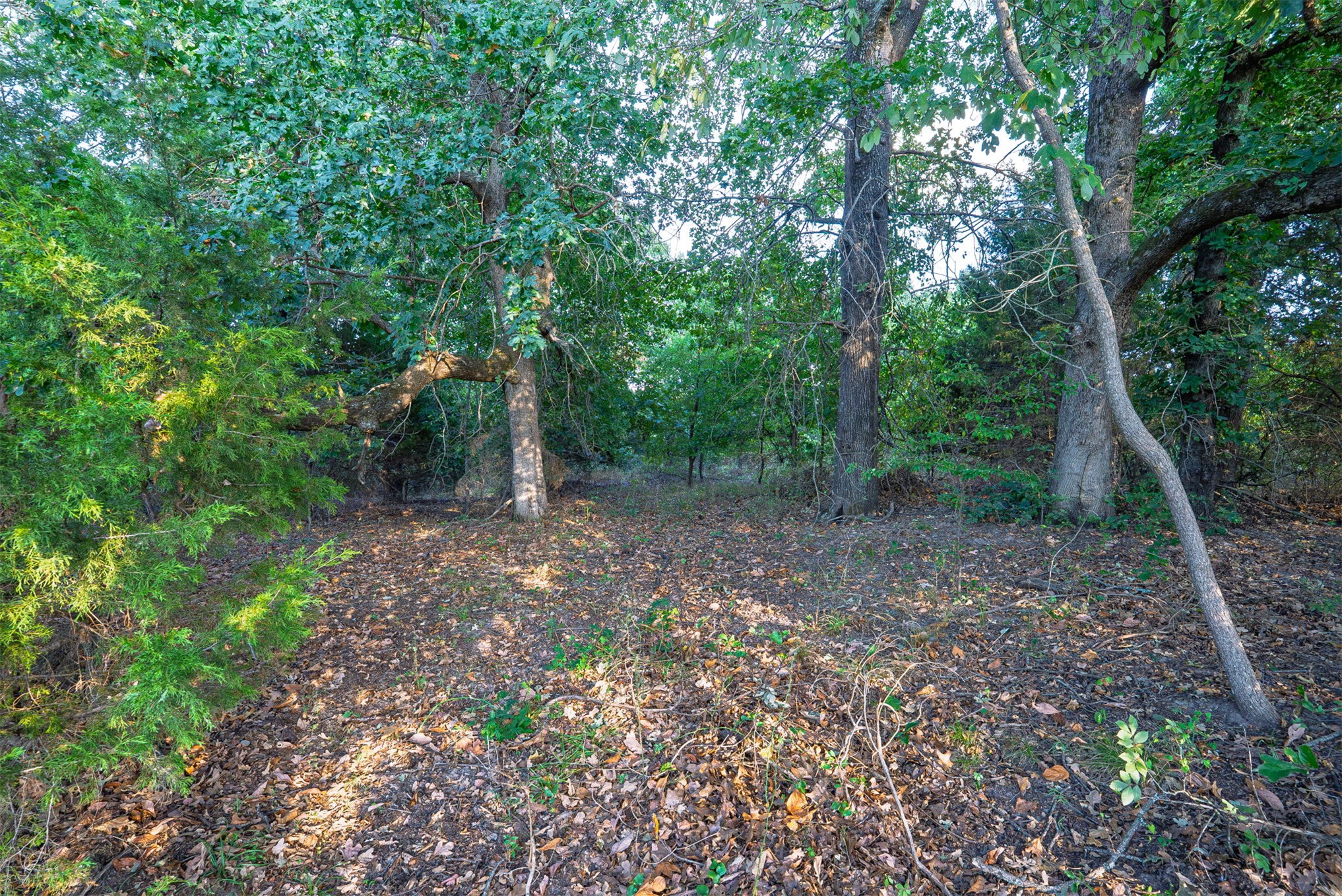 33 N 4256 Road Property Photo 47