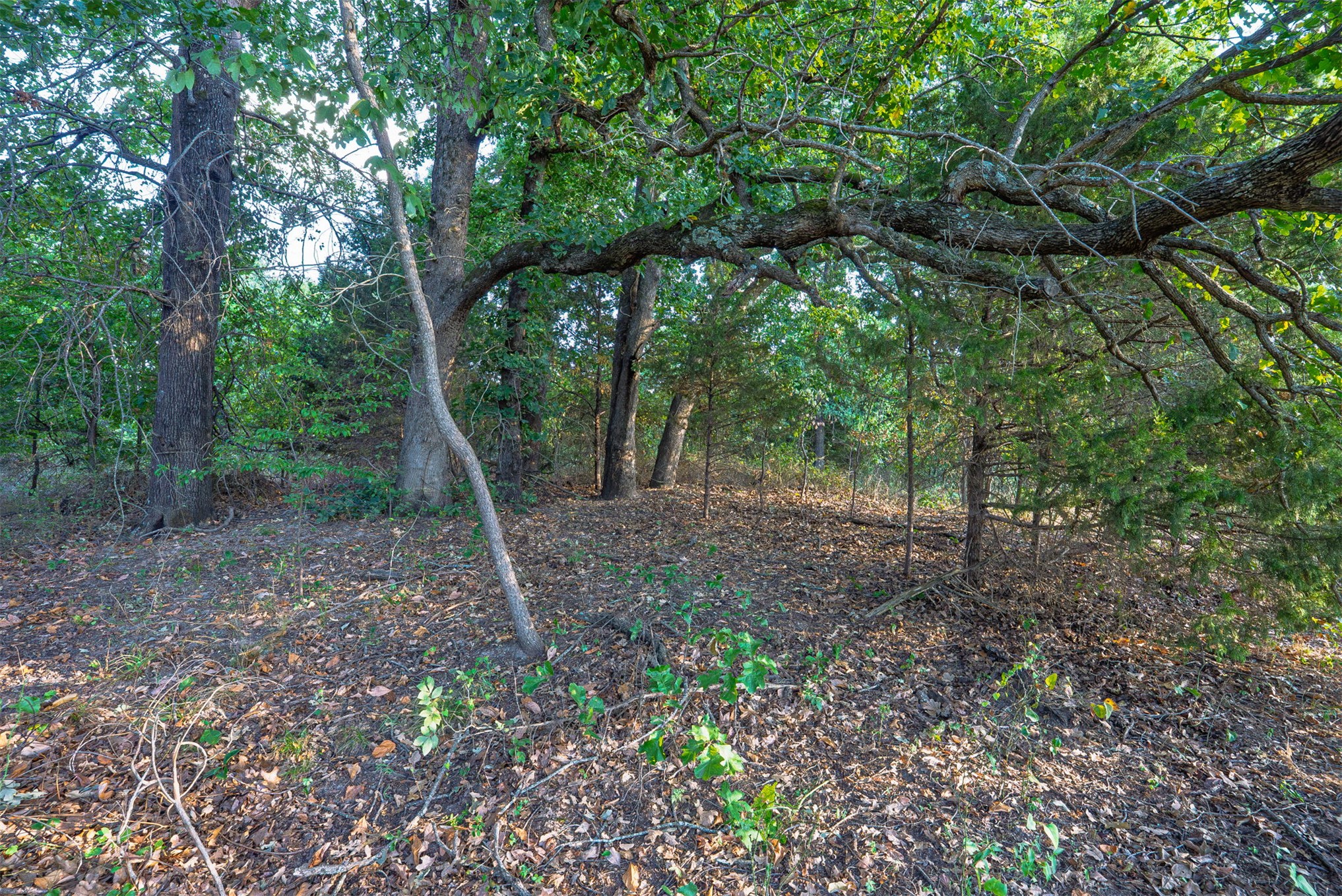 33 N 4256 Road Property Photo 50