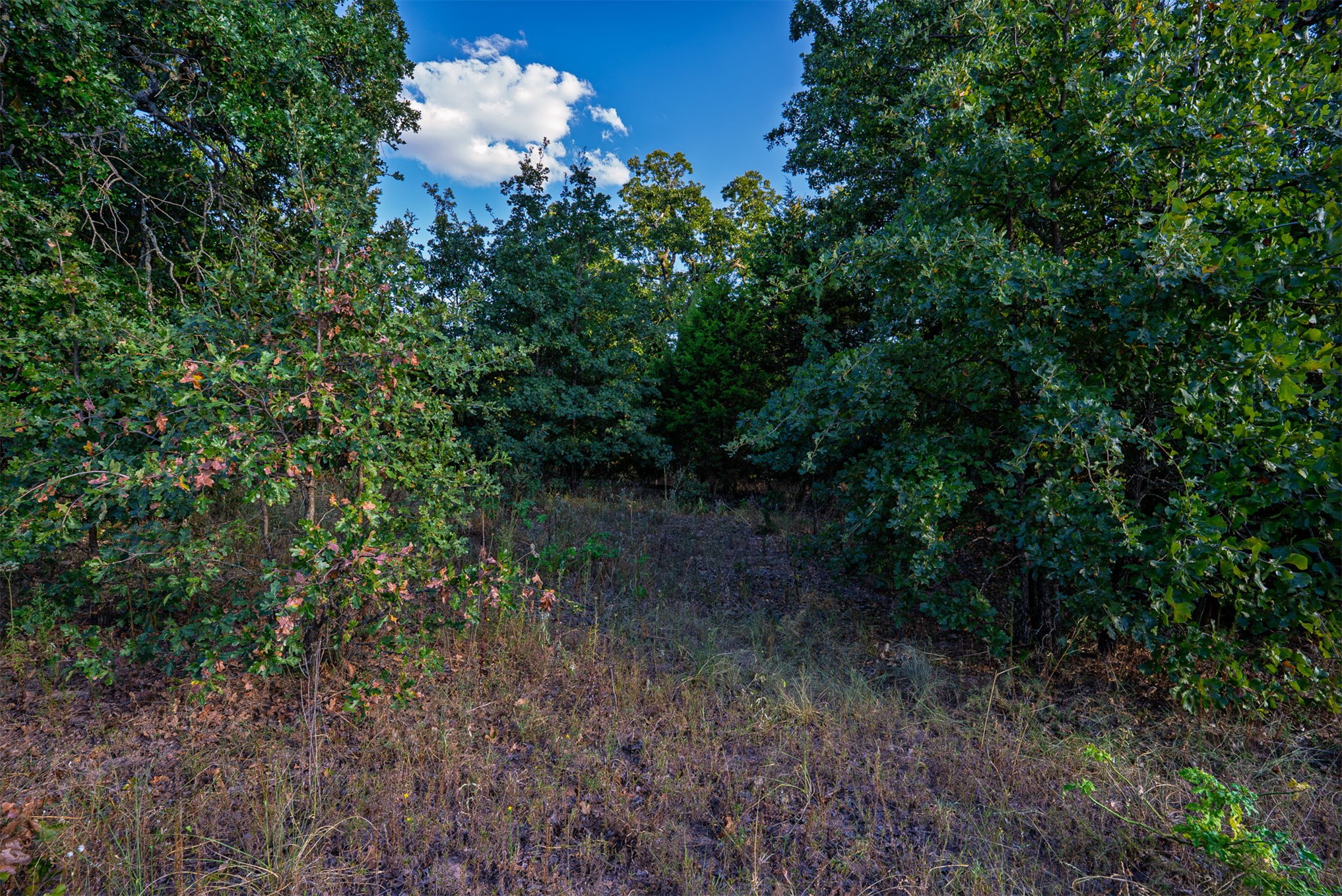 33 N 4256 Road Property Photo 51