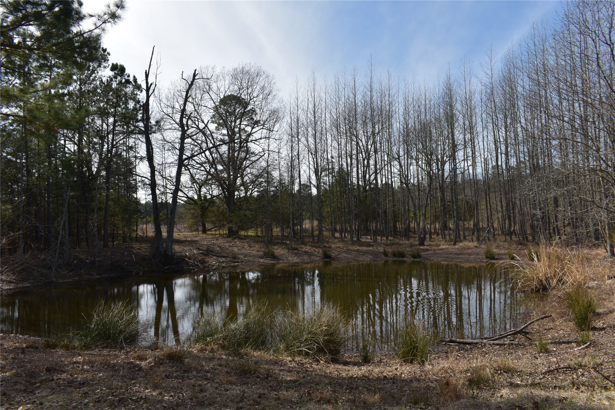532 N 4360 Road Property Photo 14