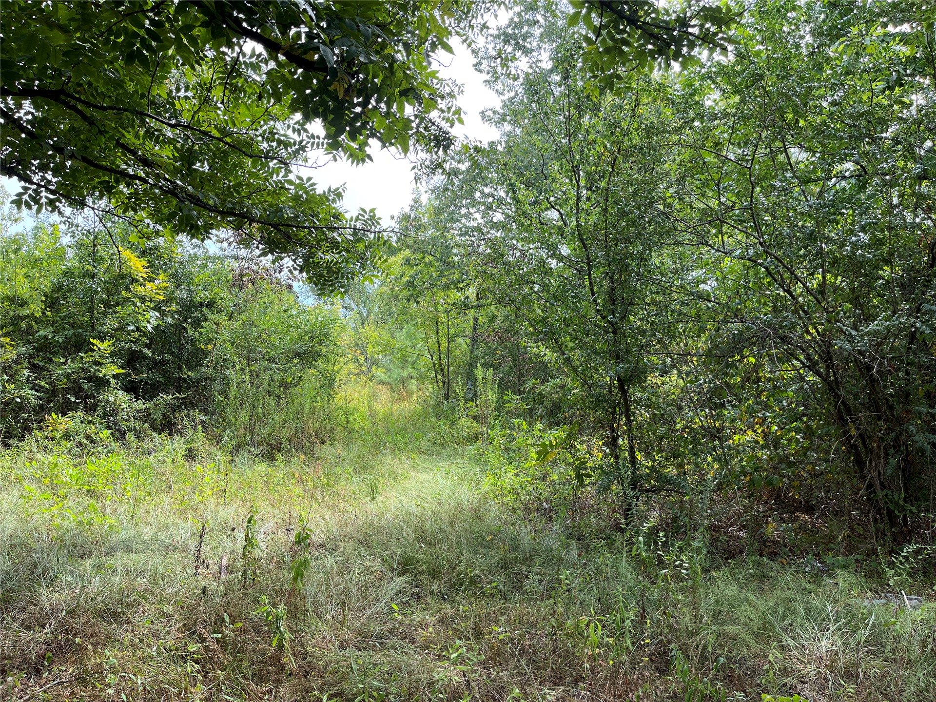 18606 Lock And Dam Road Property Photo 5