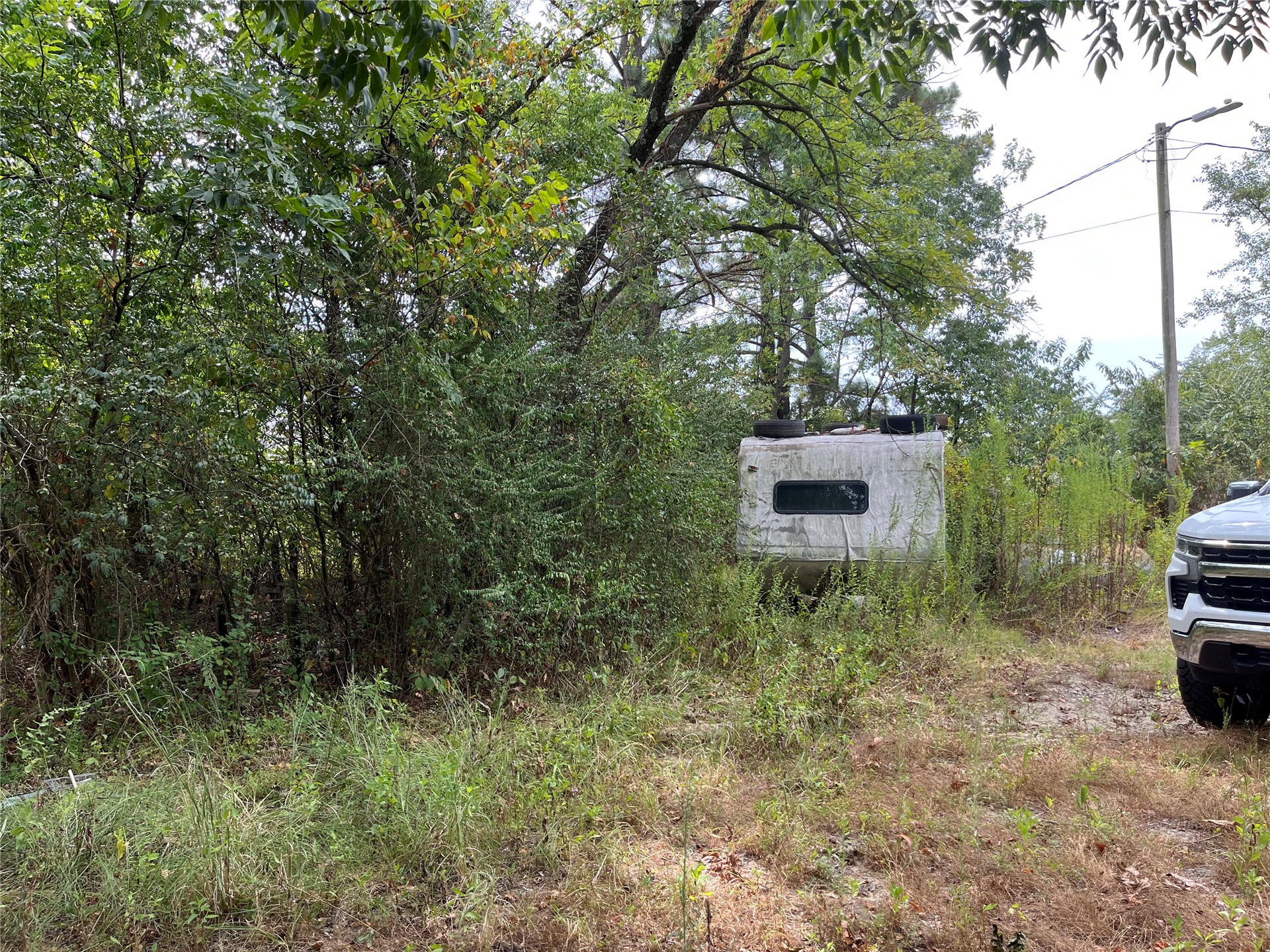 18606 Lock And Dam Road Property Photo 6