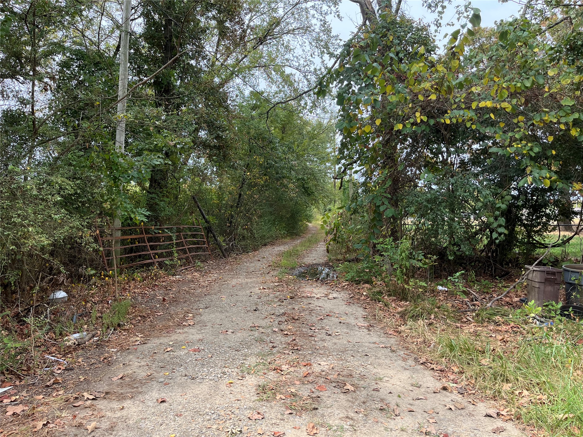 18606 Lock And Dam Road Property Photo 15