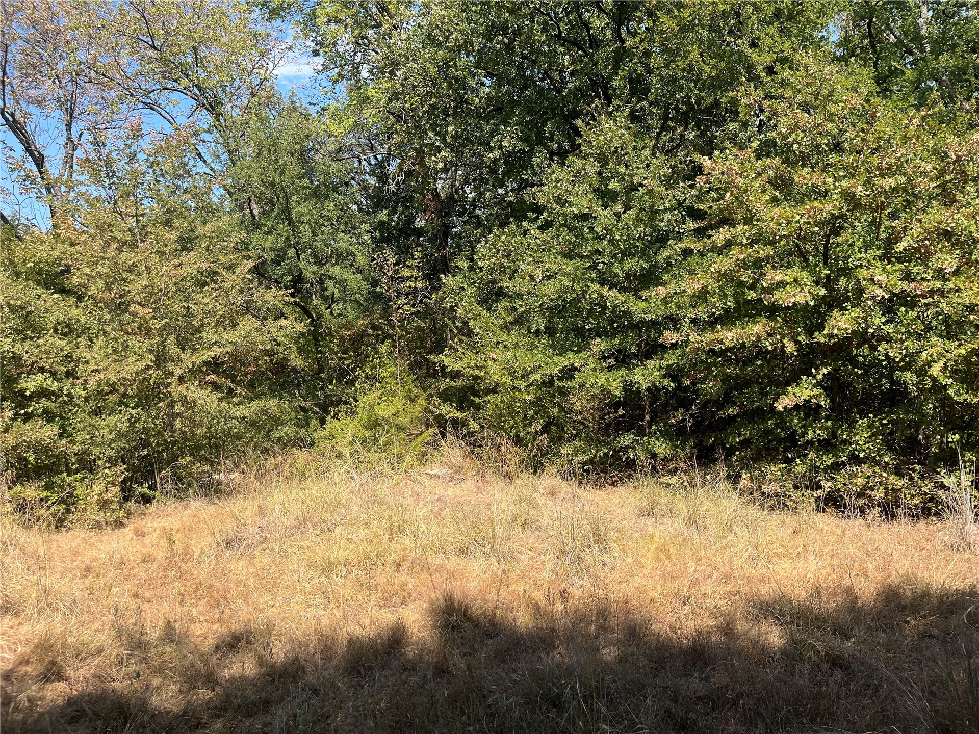 Kickapoo Avenue Property Photo 1