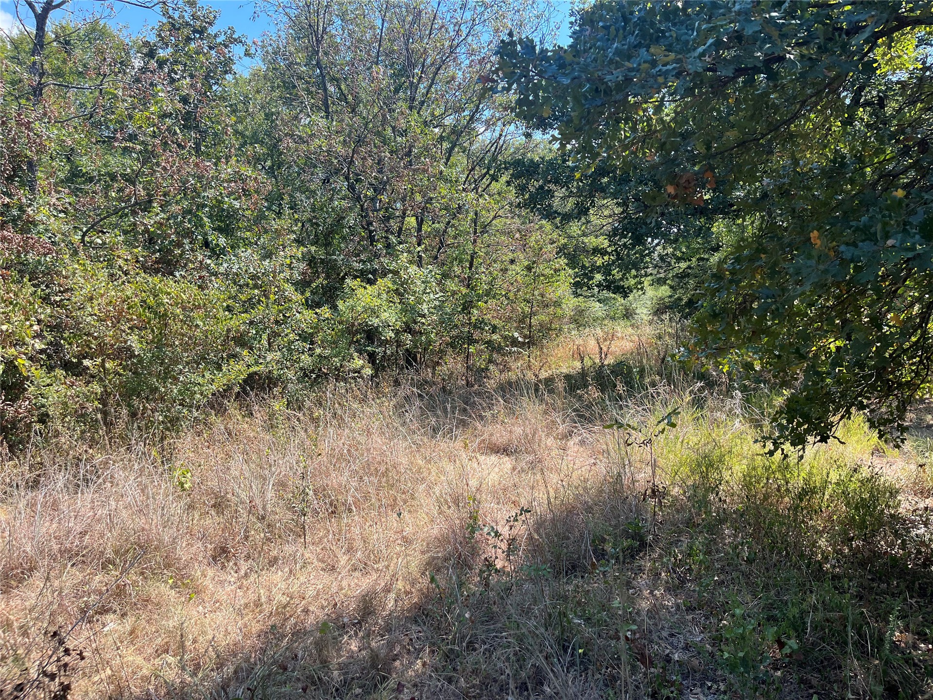 Kickapoo Avenue Property Photo 4