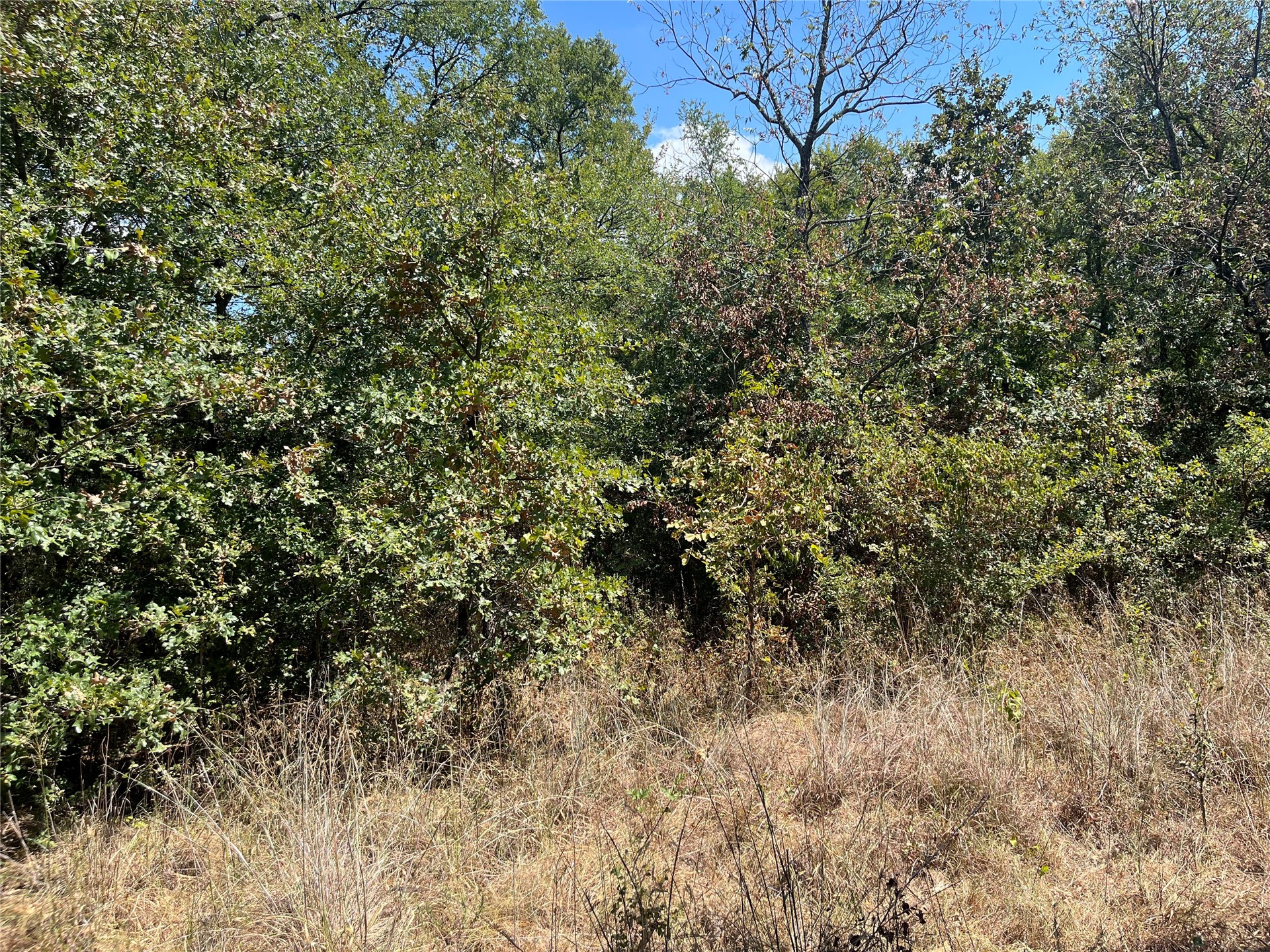 Kickapoo Avenue Property Photo 5