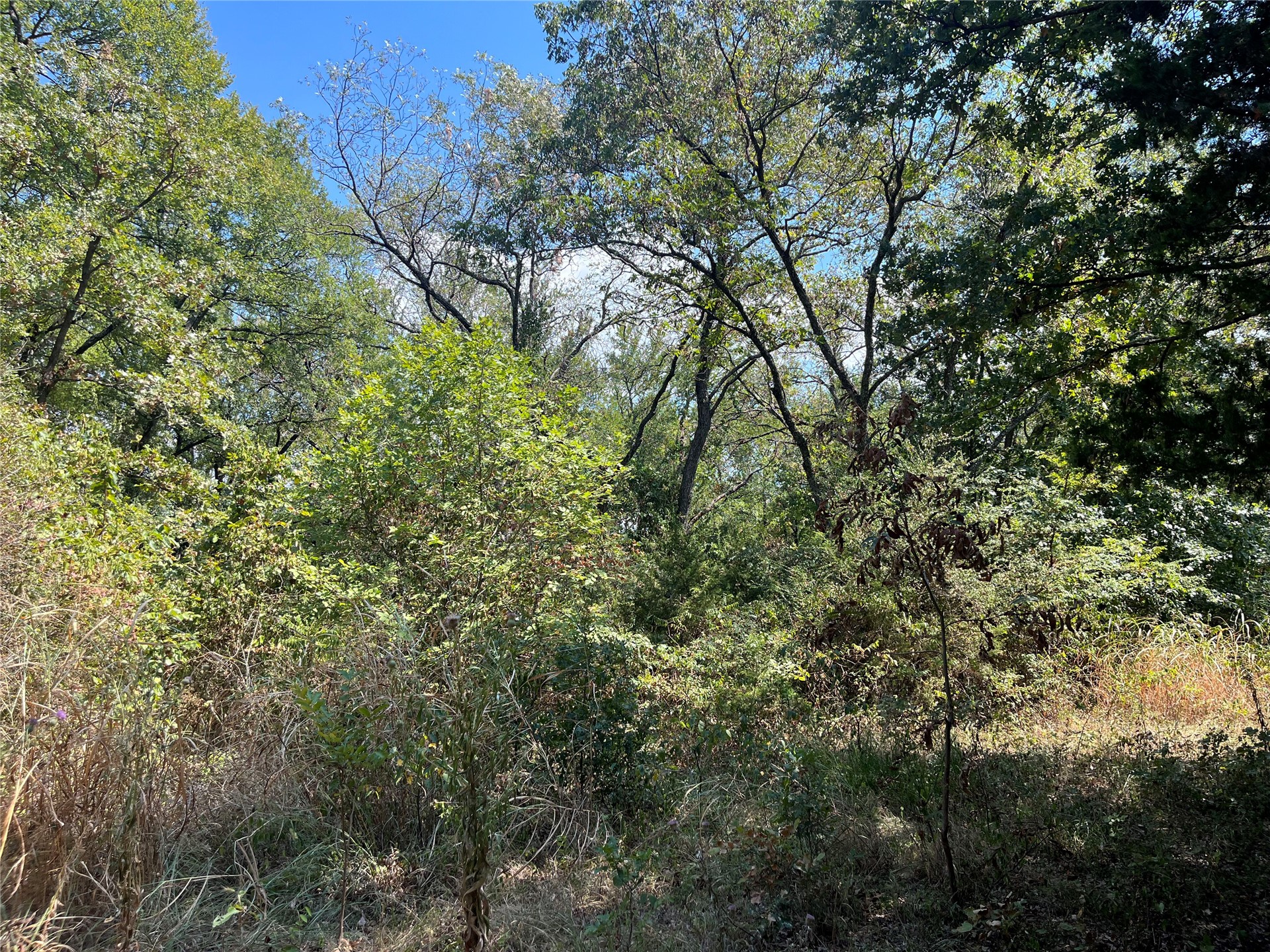 Kickapoo Avenue Property Photo 6