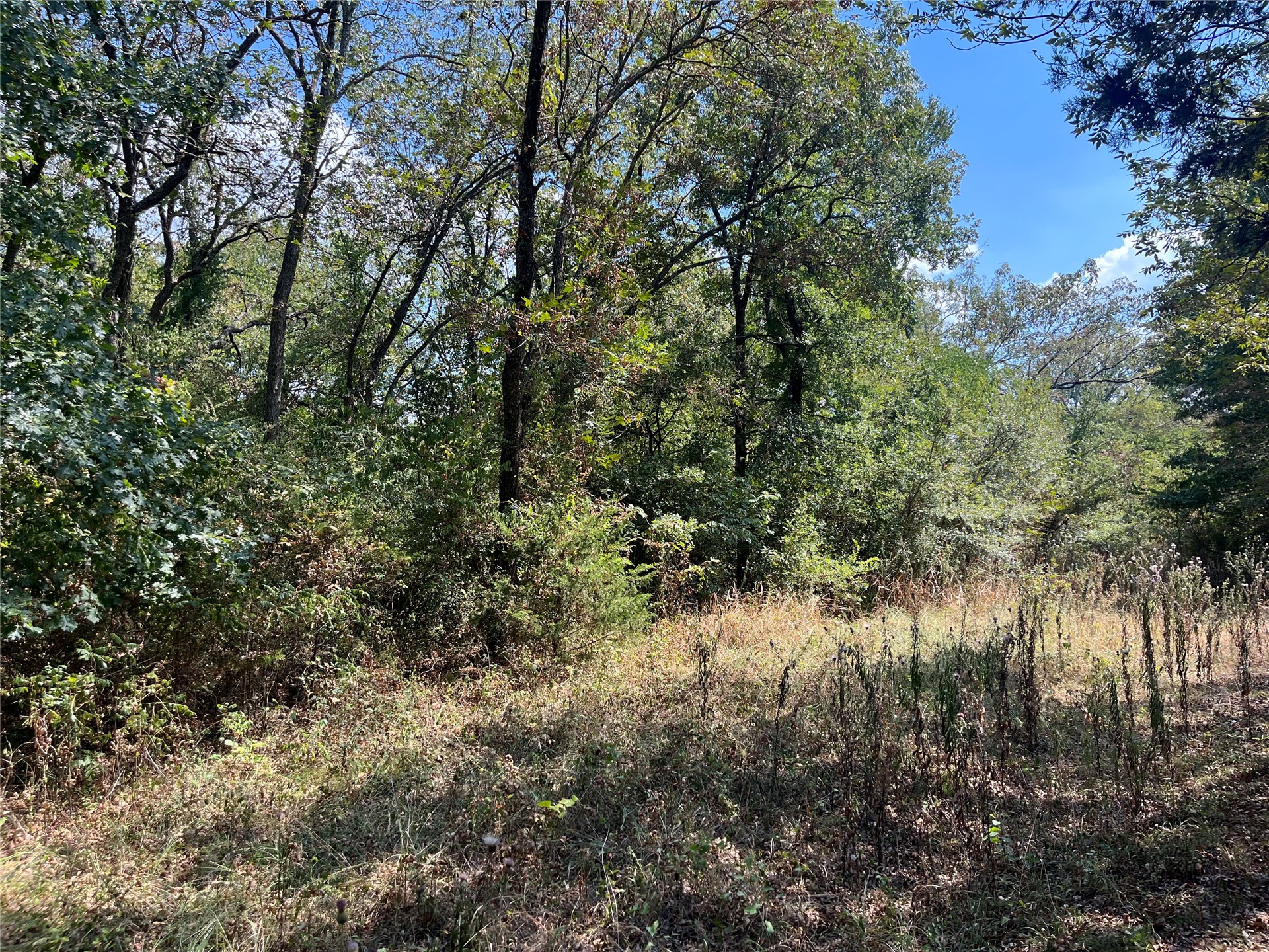 Kickapoo Avenue Property Photo 7