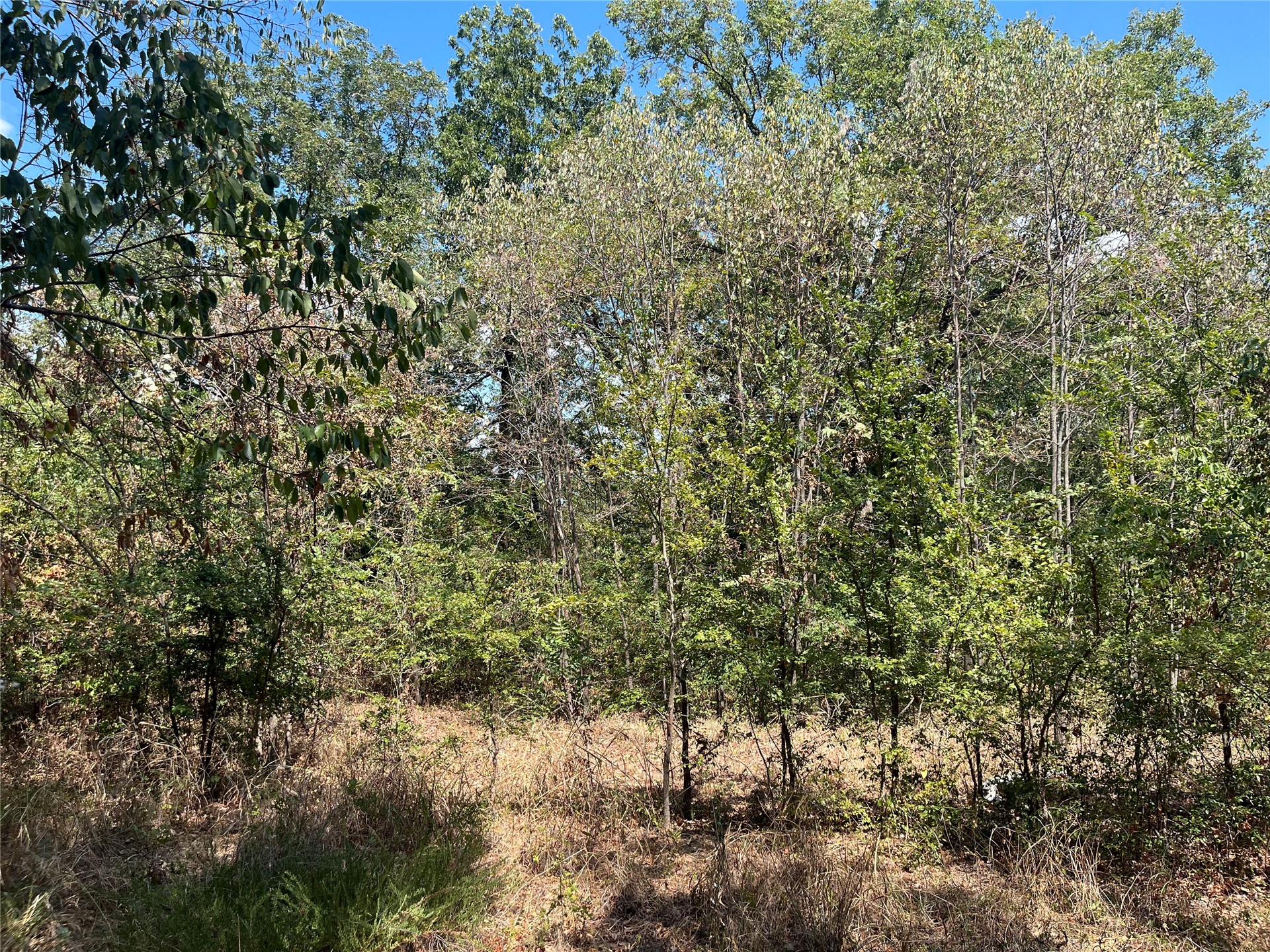 Kickapoo Avenue Property Photo 8
