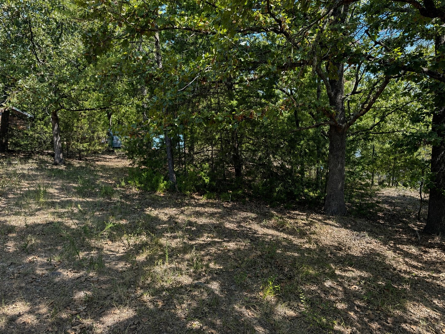 427 Lake Shore Property Photo 5