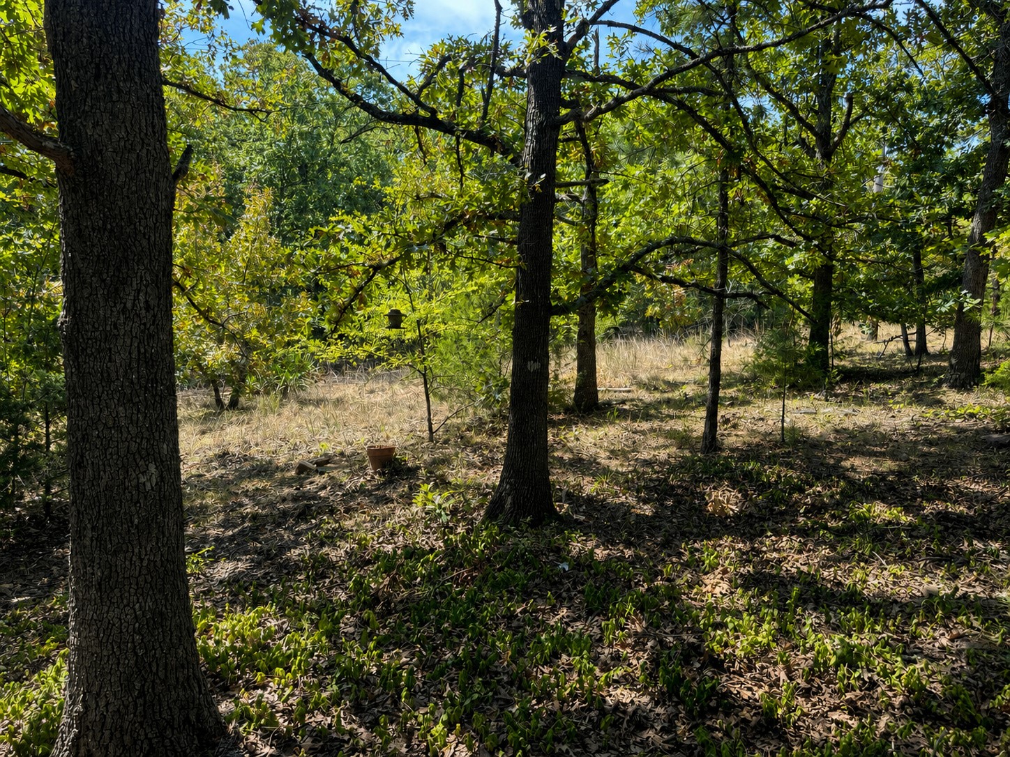 427 Lake Shore Property Photo 6
