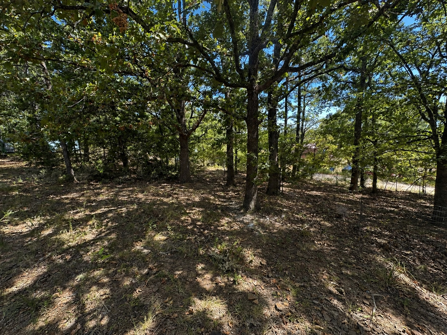 427 Lake Shore Property Photo 7