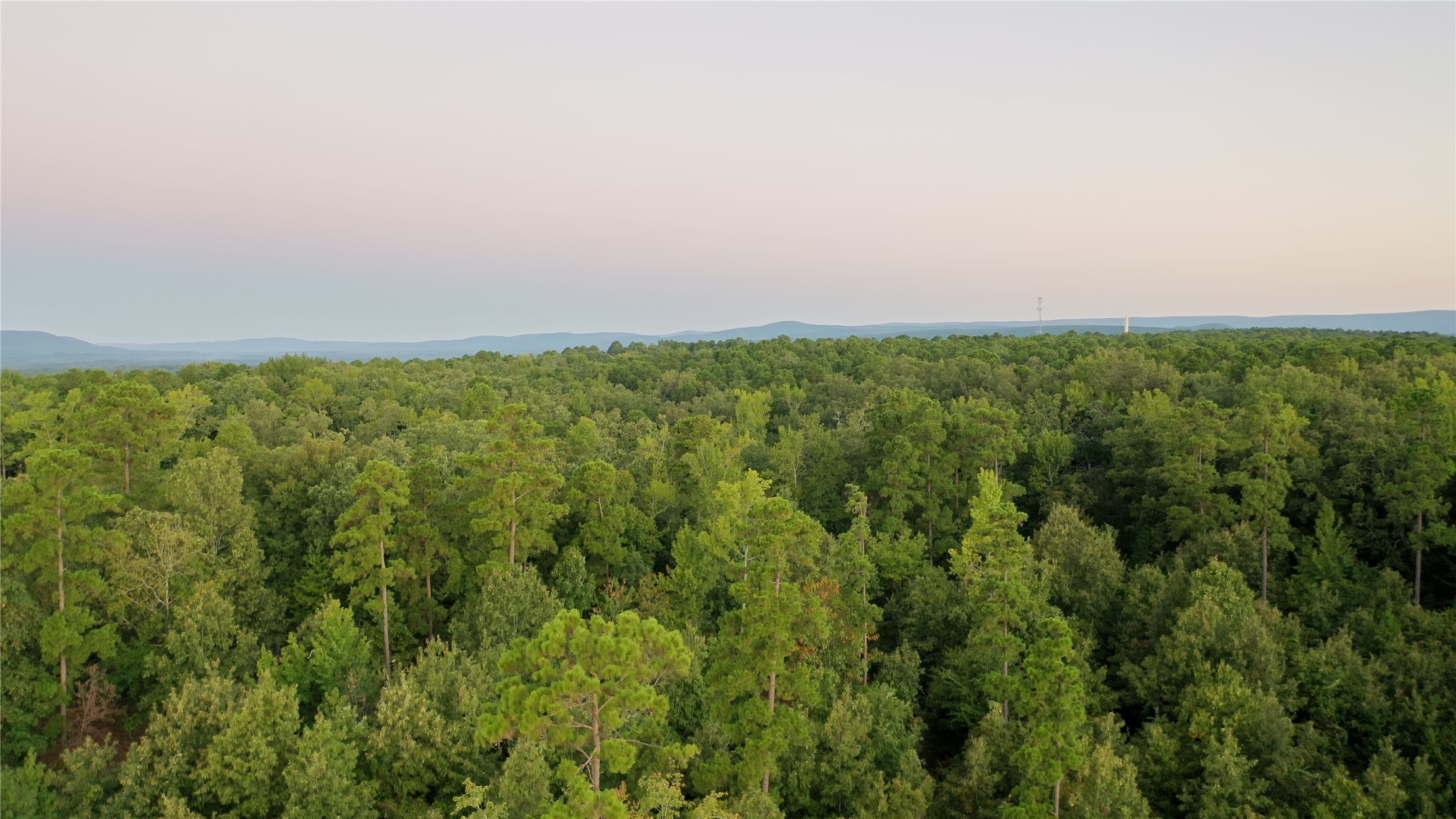 259 Highway Property Photo 3