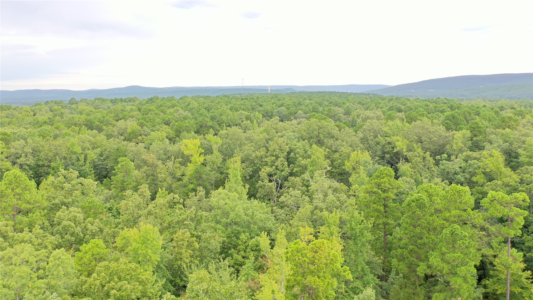 259 Highway Property Photo 5