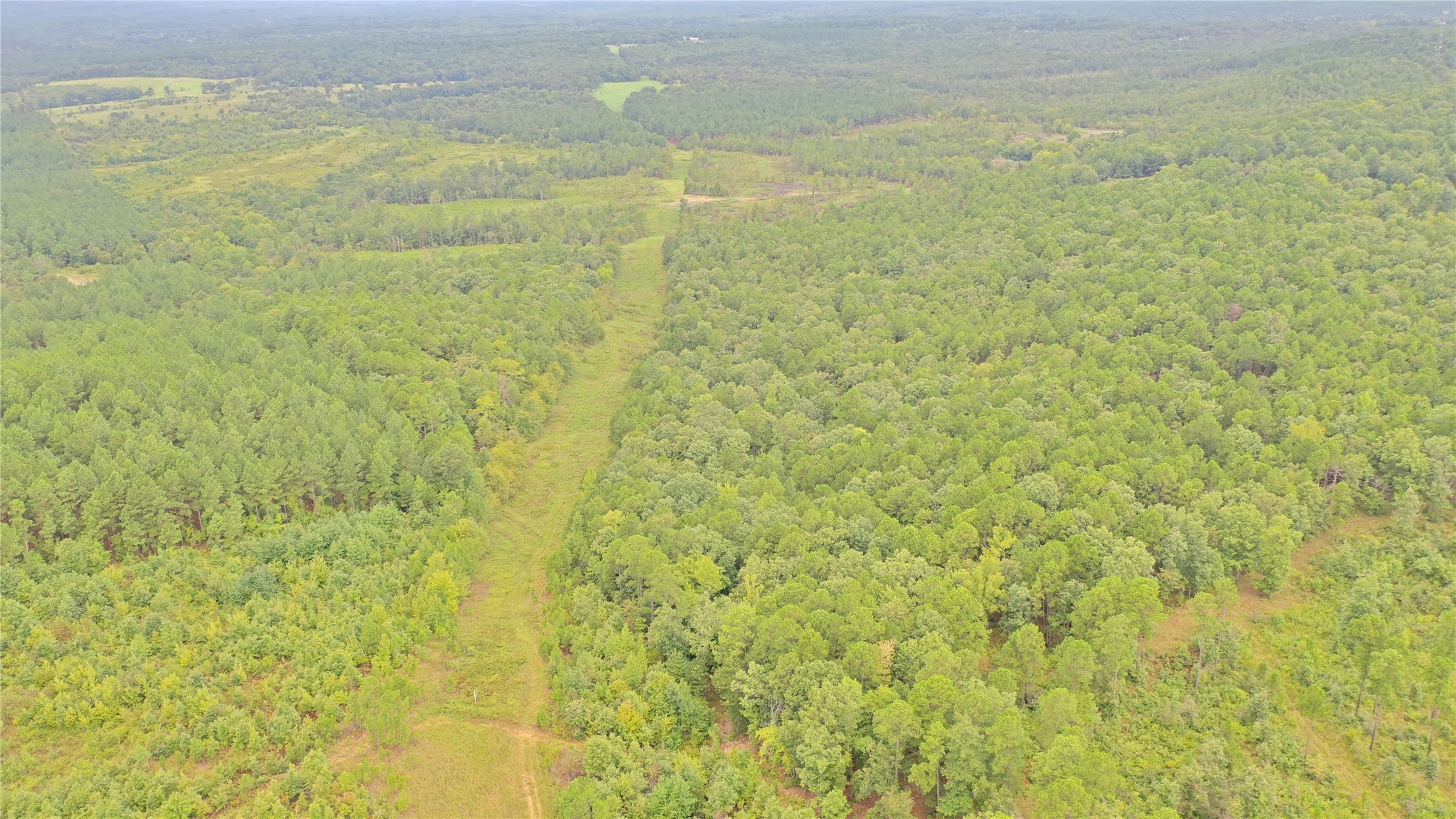 259 Highway Property Photo 13