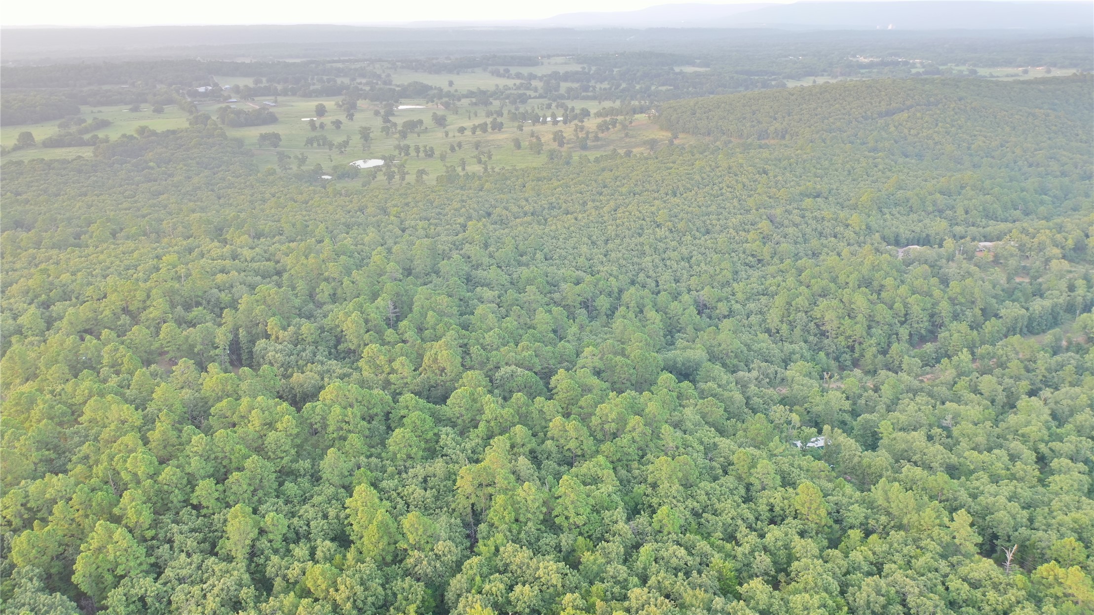 259 Highway Property Photo 15