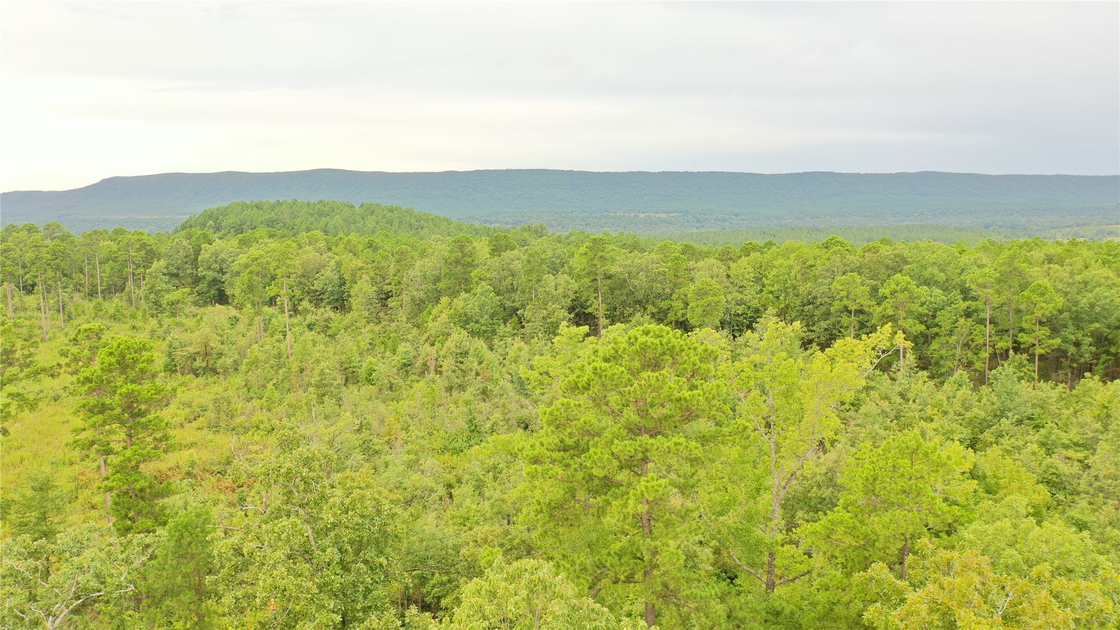 259 Highway Property Photo 16
