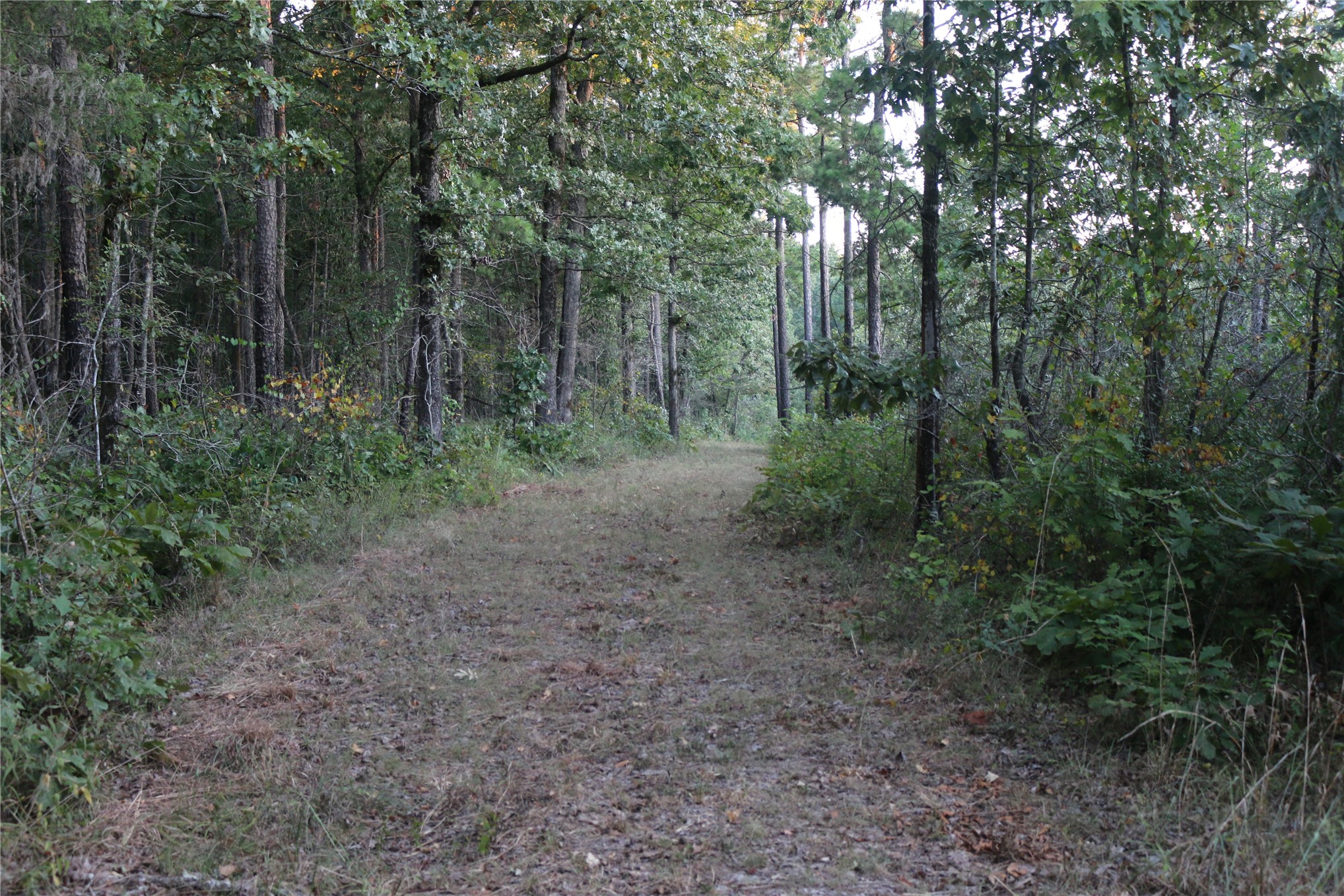 259 Highway Property Photo 21