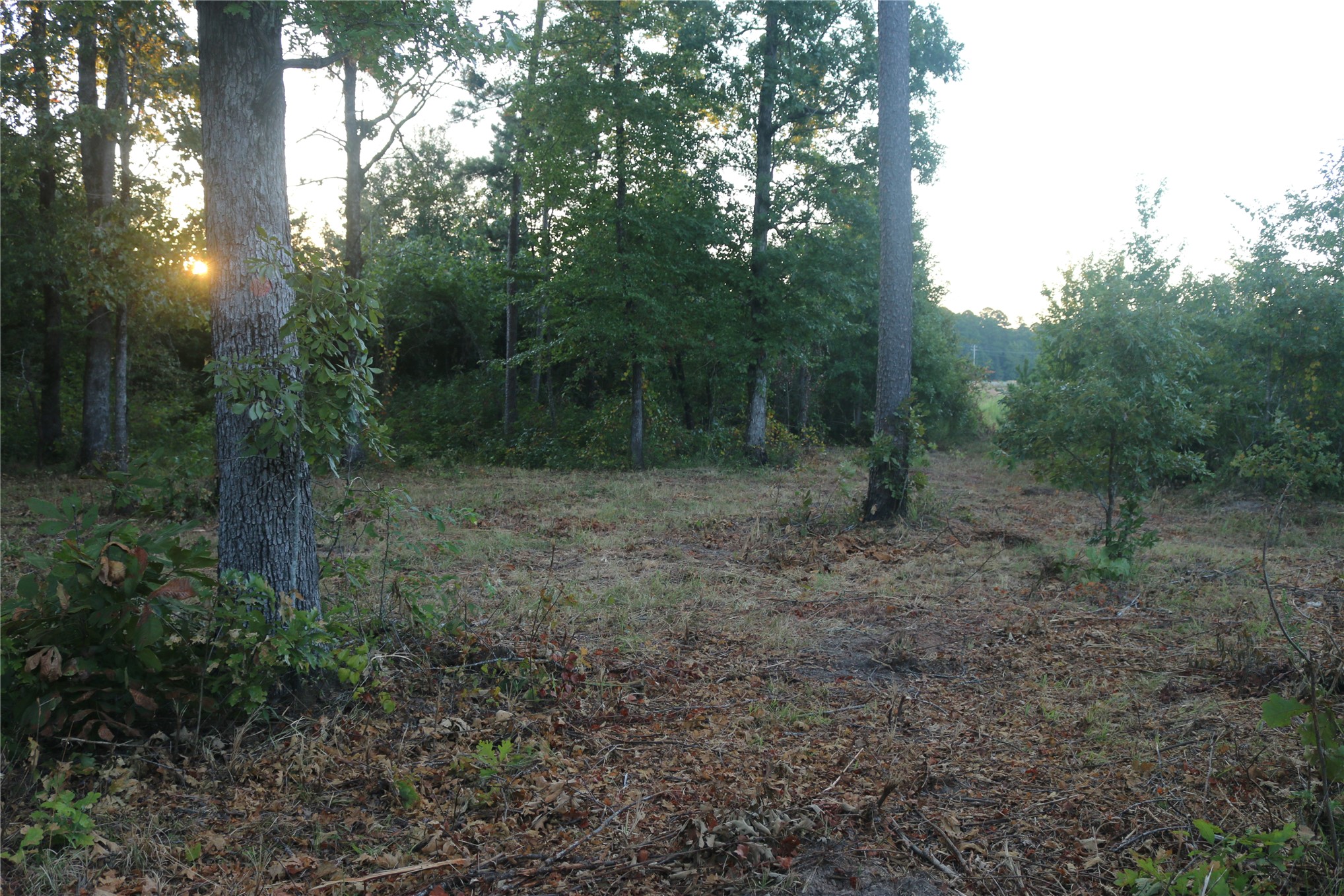 259 Highway Property Photo 22