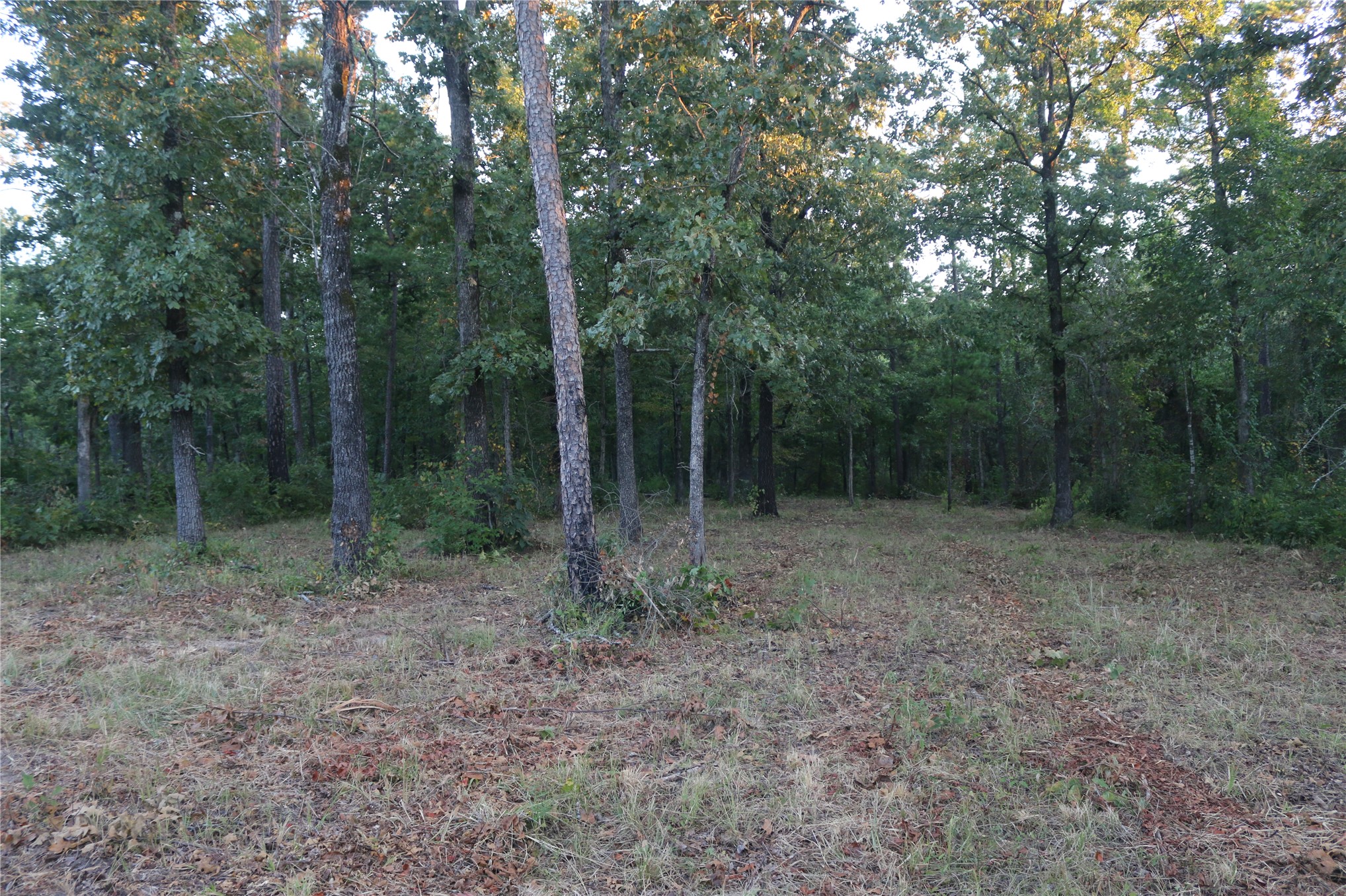 259 Highway Property Photo 23
