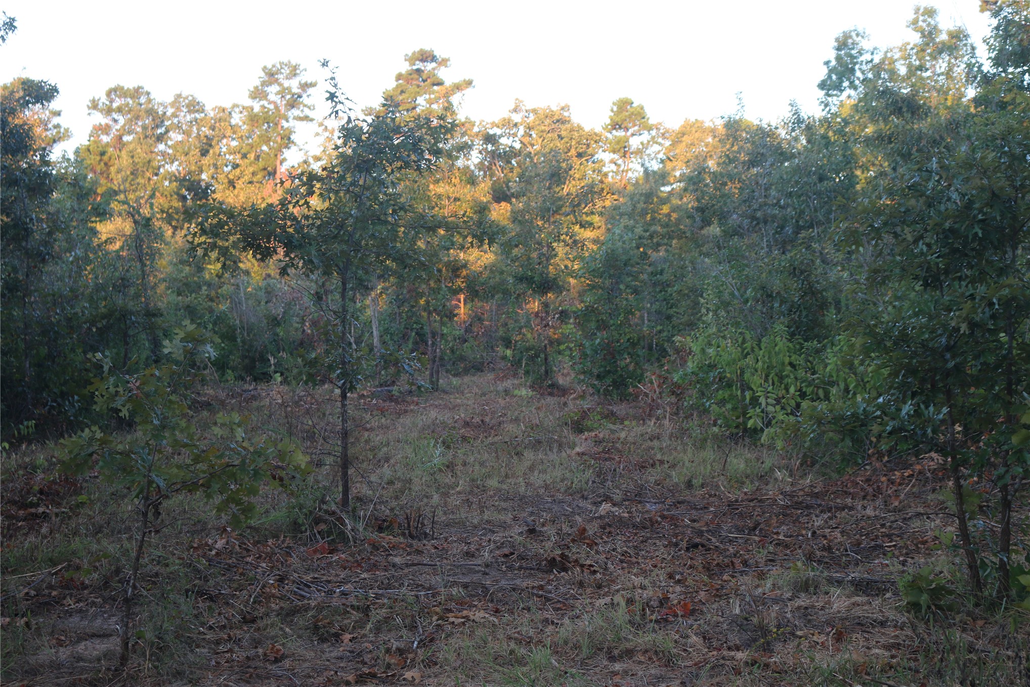 259 Highway Property Photo 24