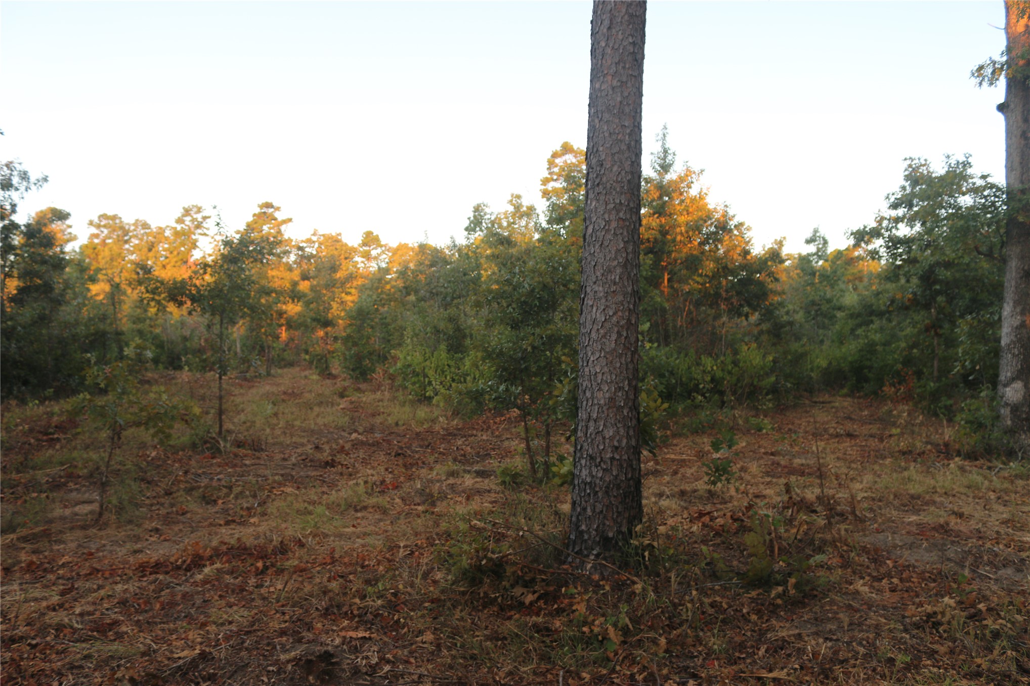 259 Highway Property Photo 25