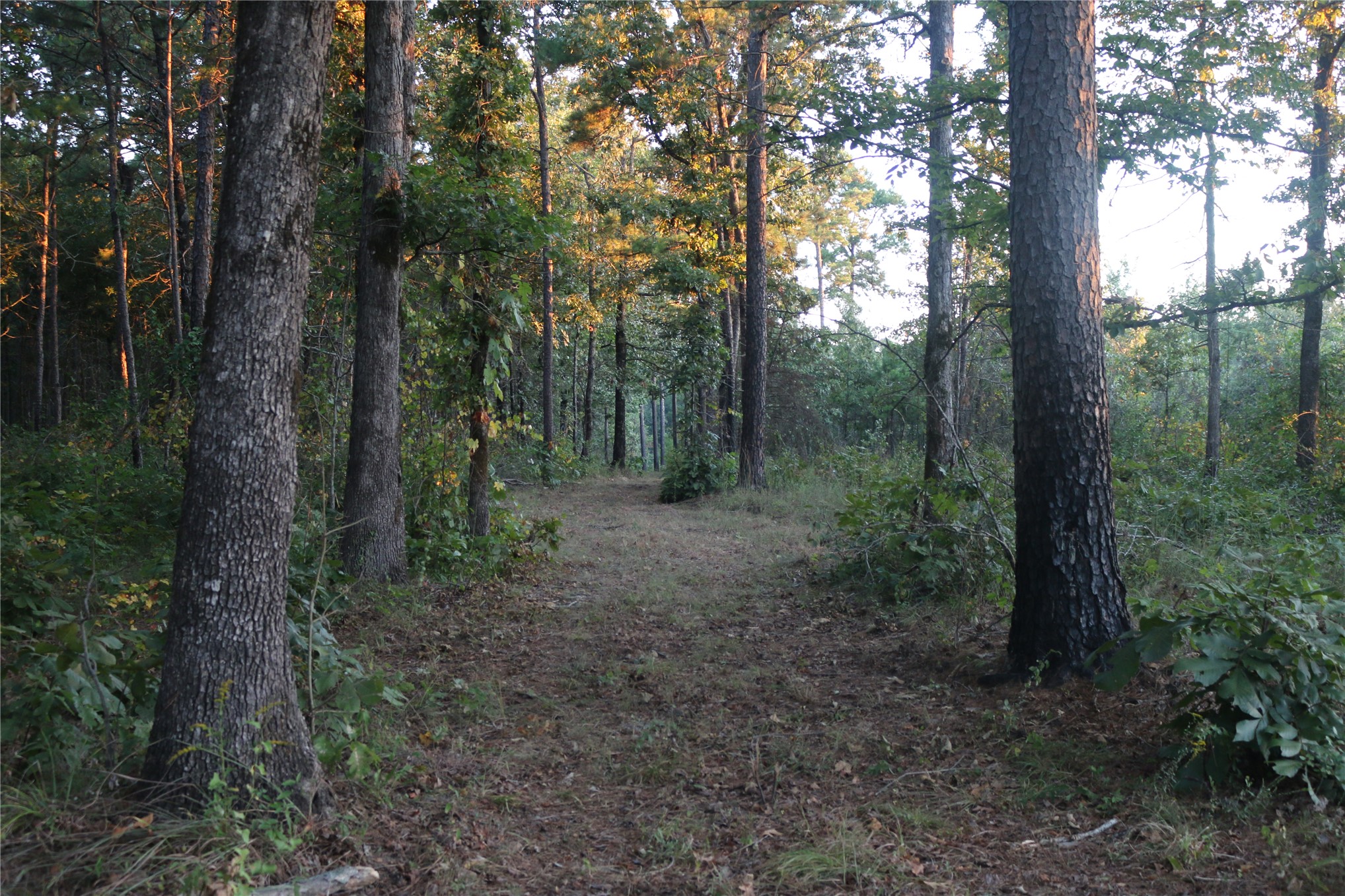 259 Highway Property Photo 26