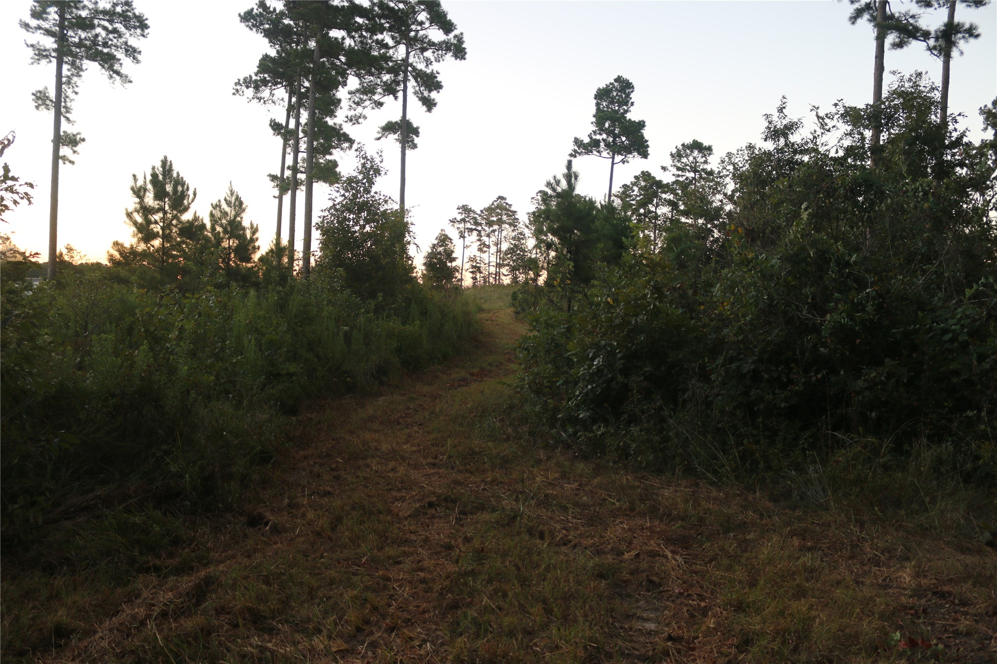 259 Highway Property Photo 27