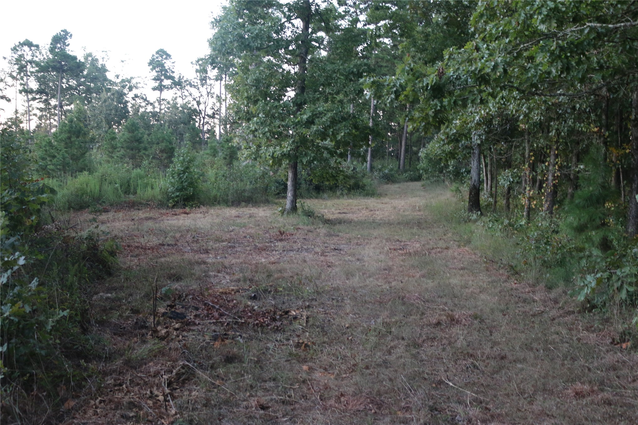 259 Highway Property Photo 28