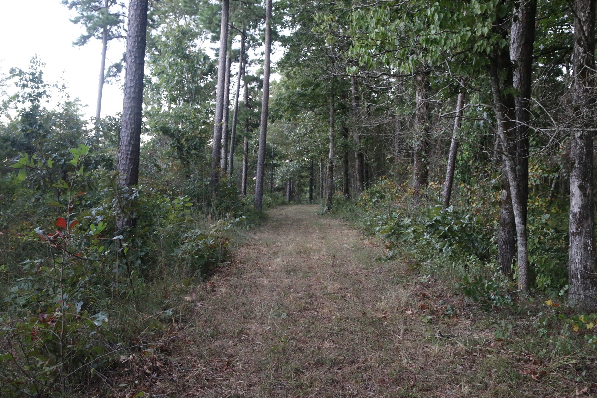 259 Highway Property Photo 29