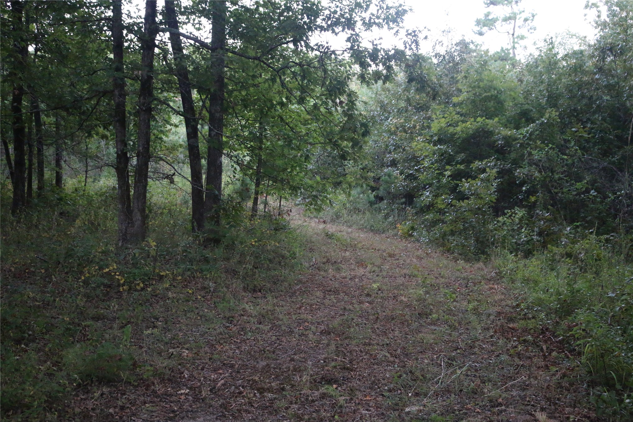 259 Highway Property Photo 30