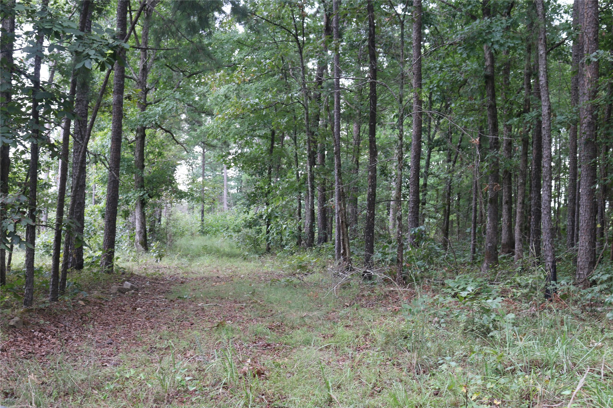 259 Highway Property Photo 31