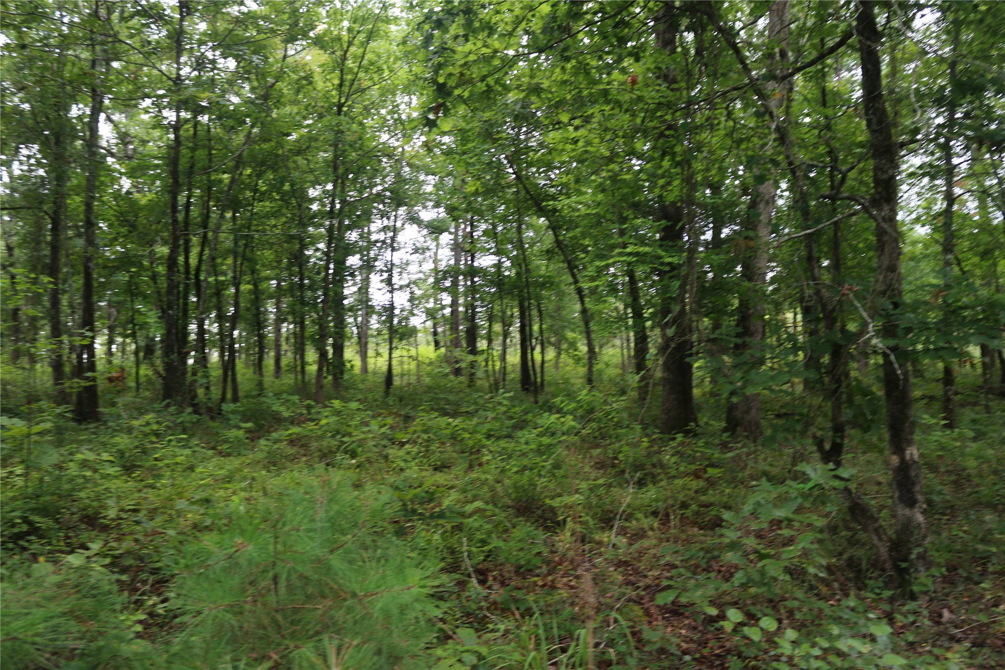 259 Highway Property Photo 32