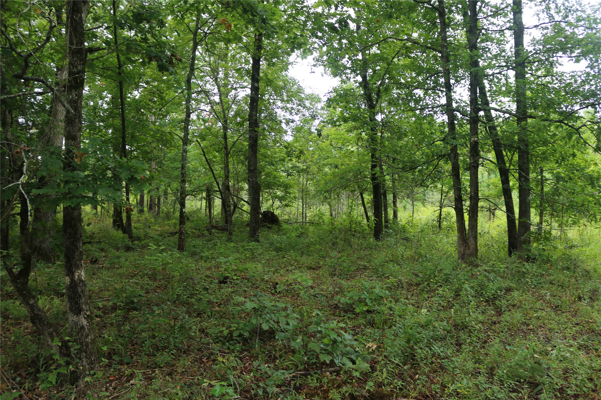 259 Highway Property Photo 33