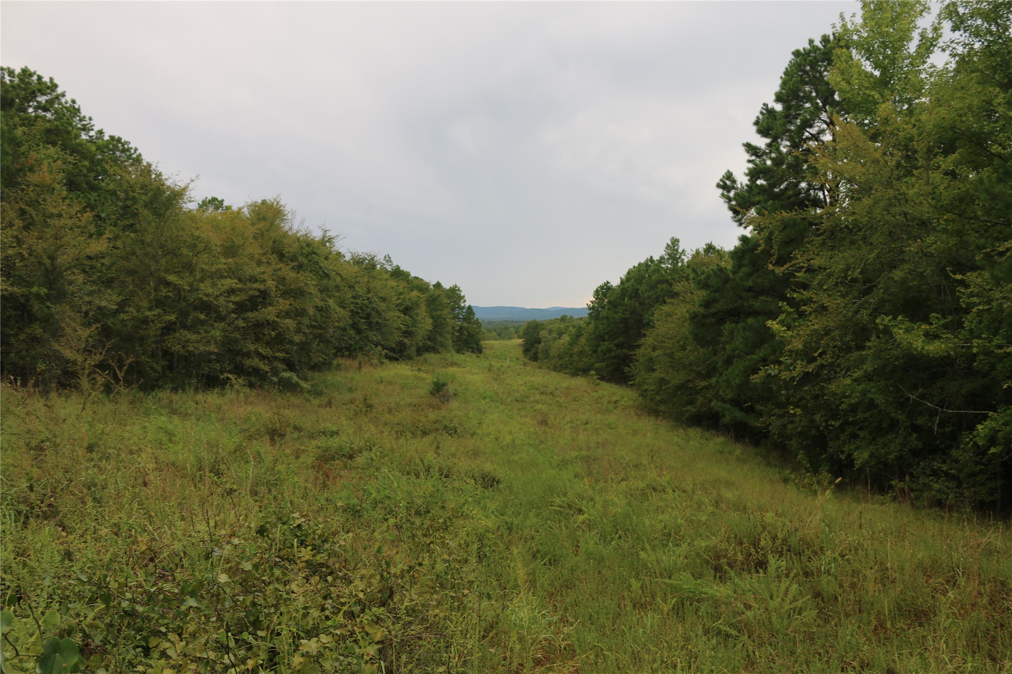 259 Highway Property Photo 34