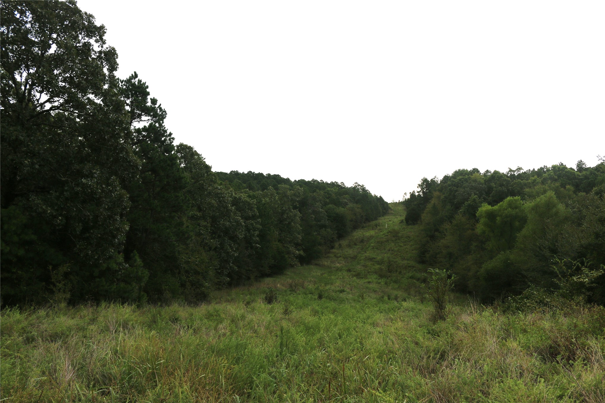 259 Highway Property Photo 35