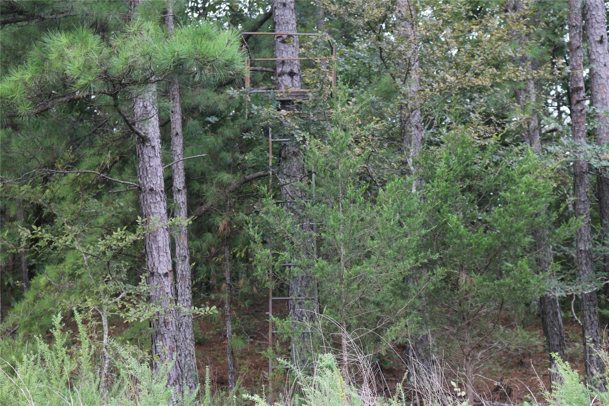 259 Highway Property Photo 36