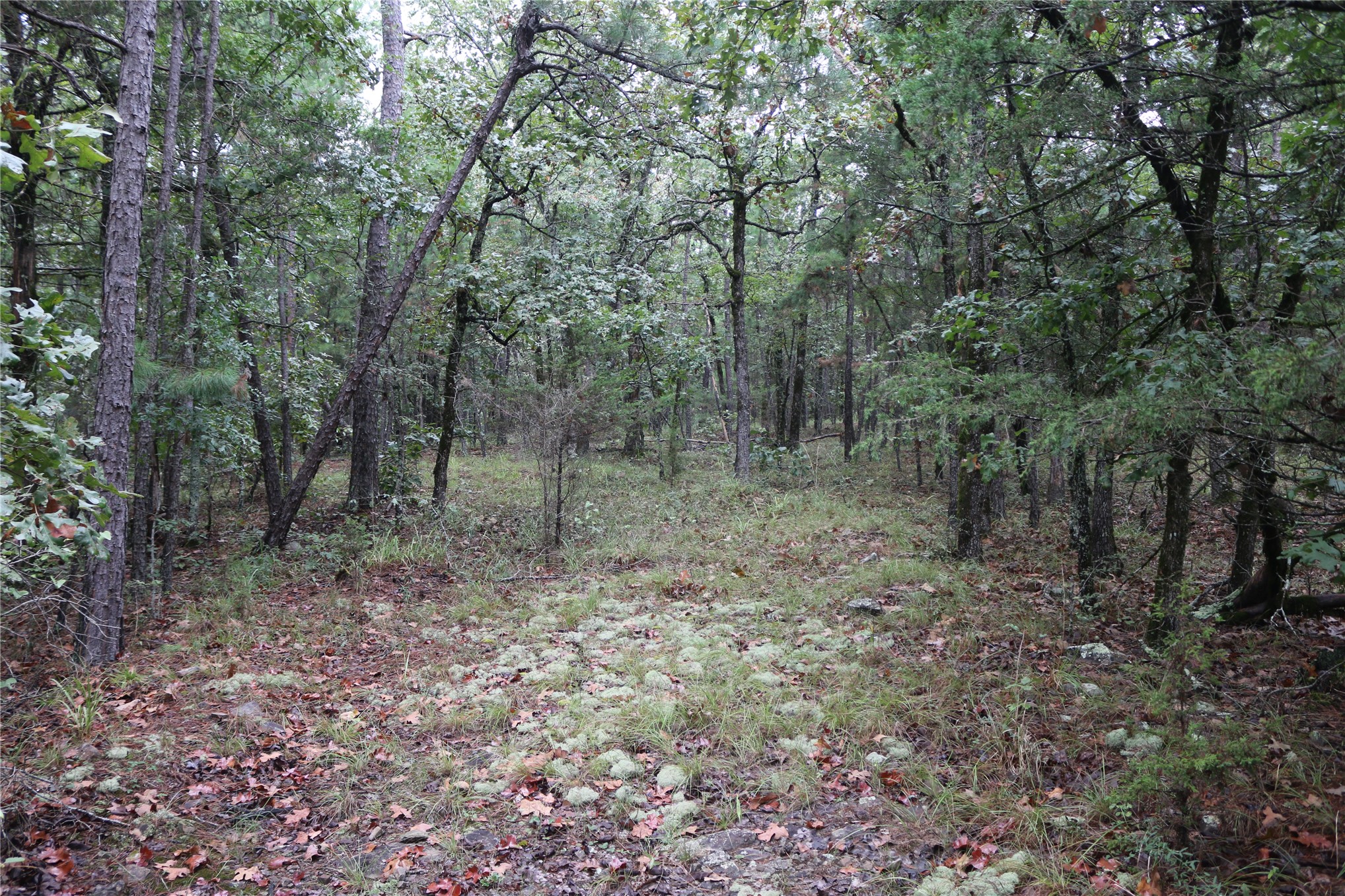 259 Highway Property Photo 37