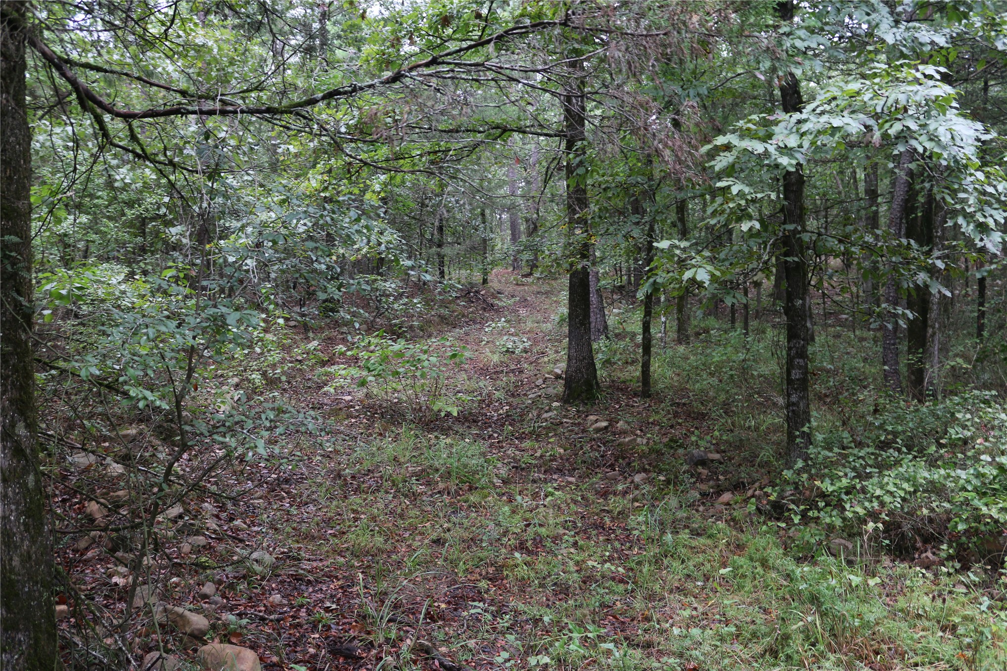 259 Highway Property Photo 38