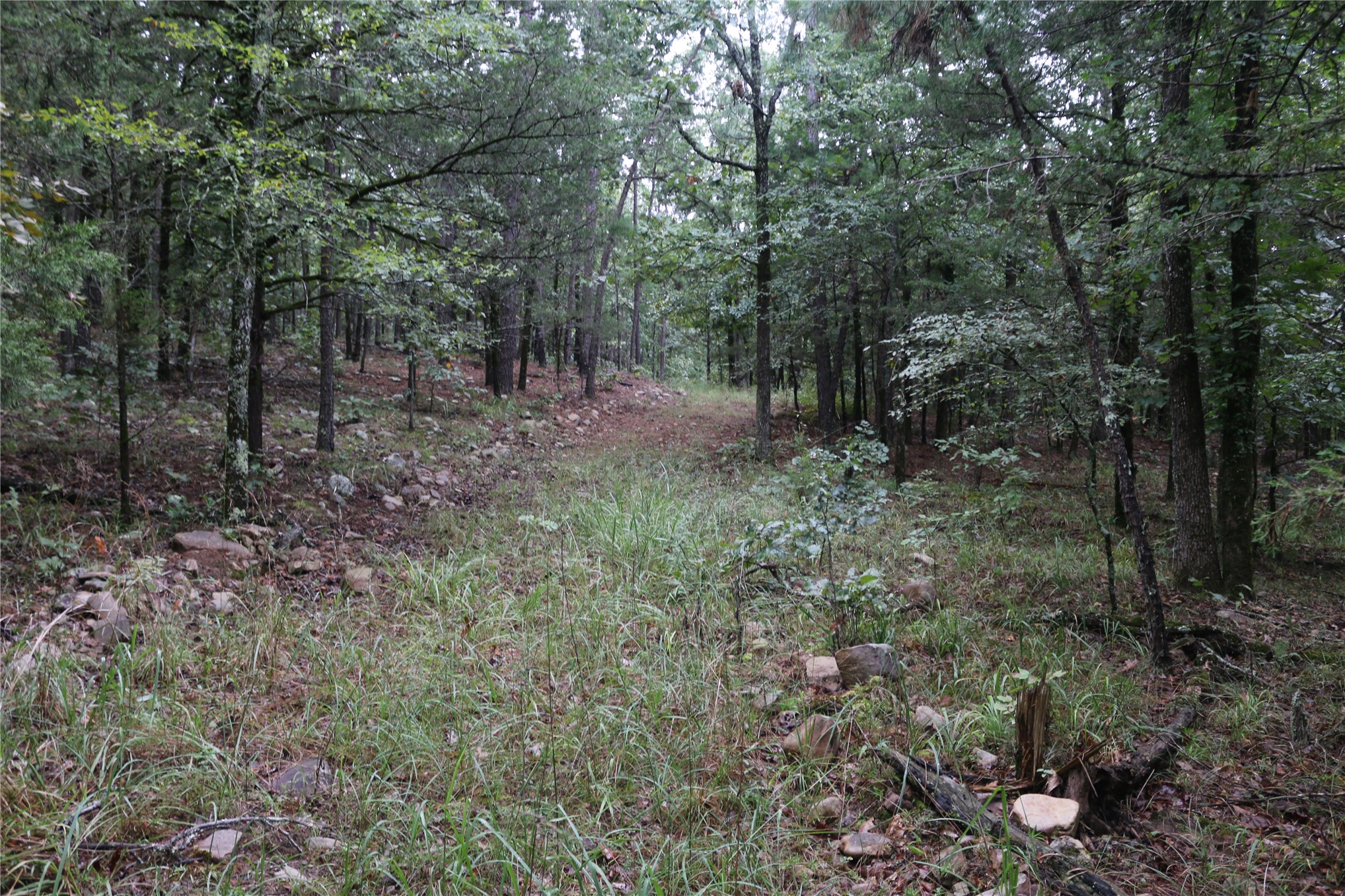 259 Highway Property Photo 39