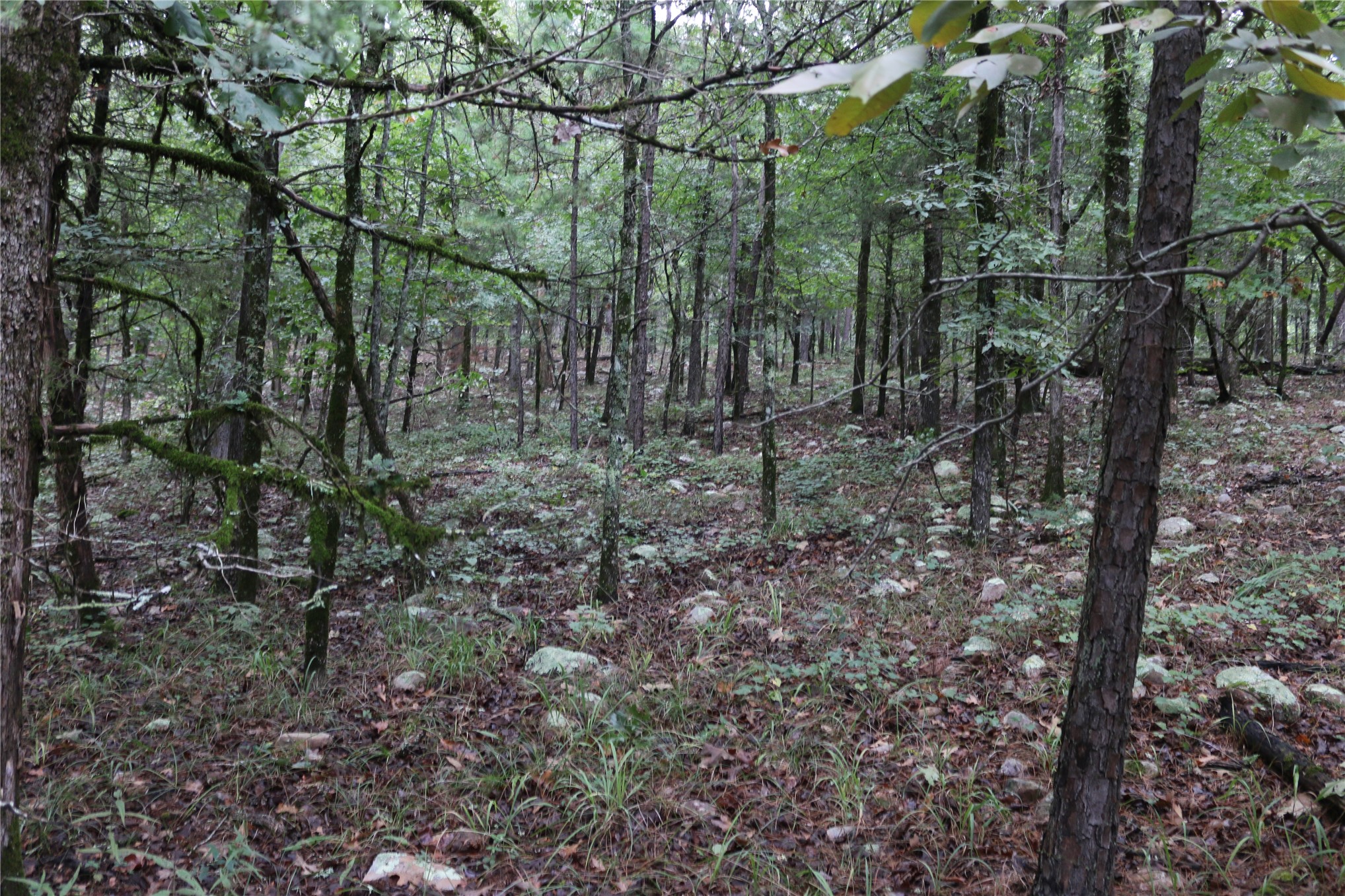 259 Highway Property Photo 40