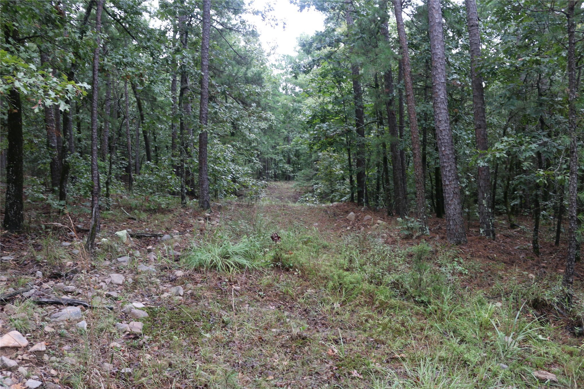 259 Highway Property Photo 41