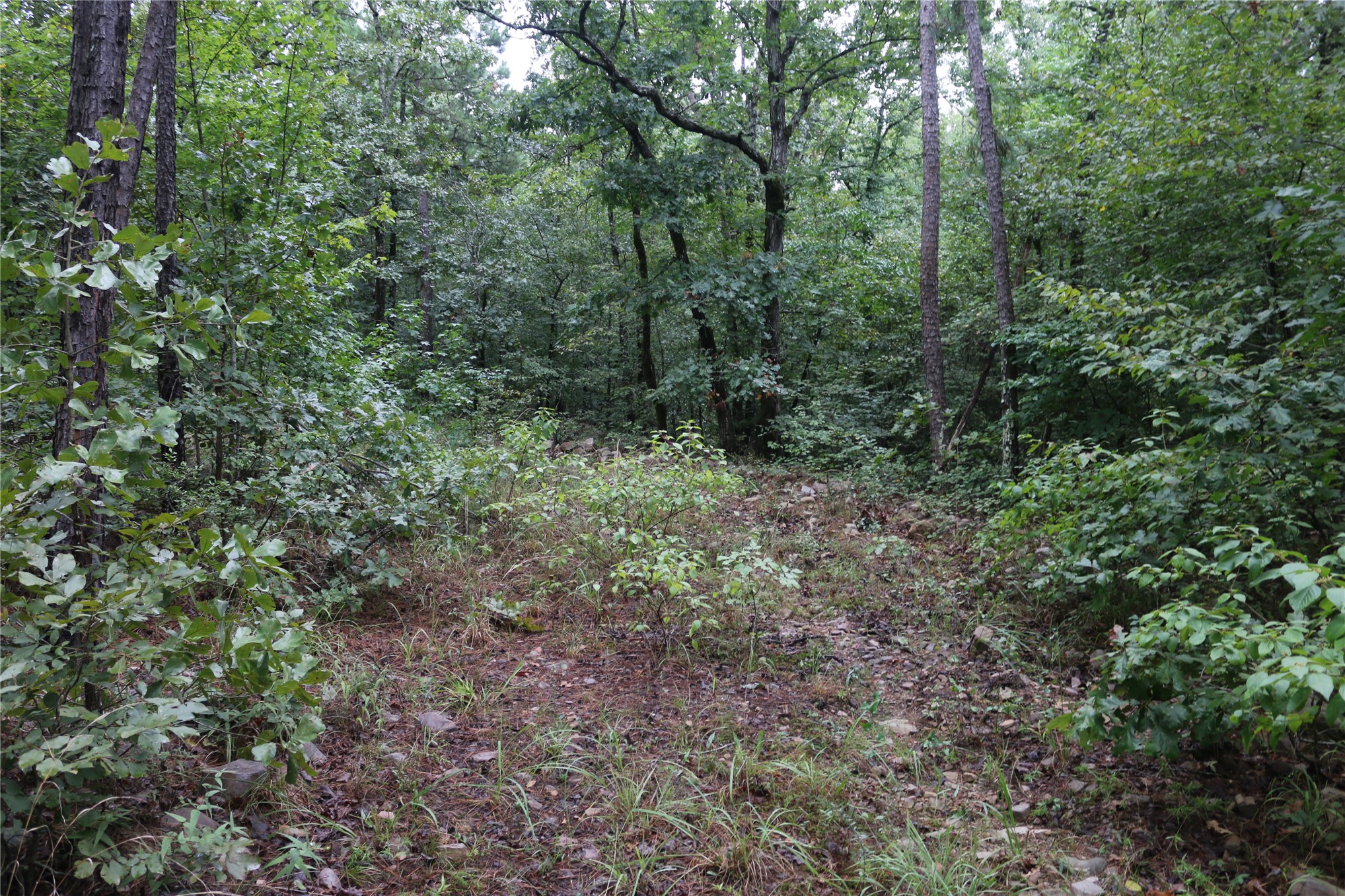 259 Highway Property Photo 43