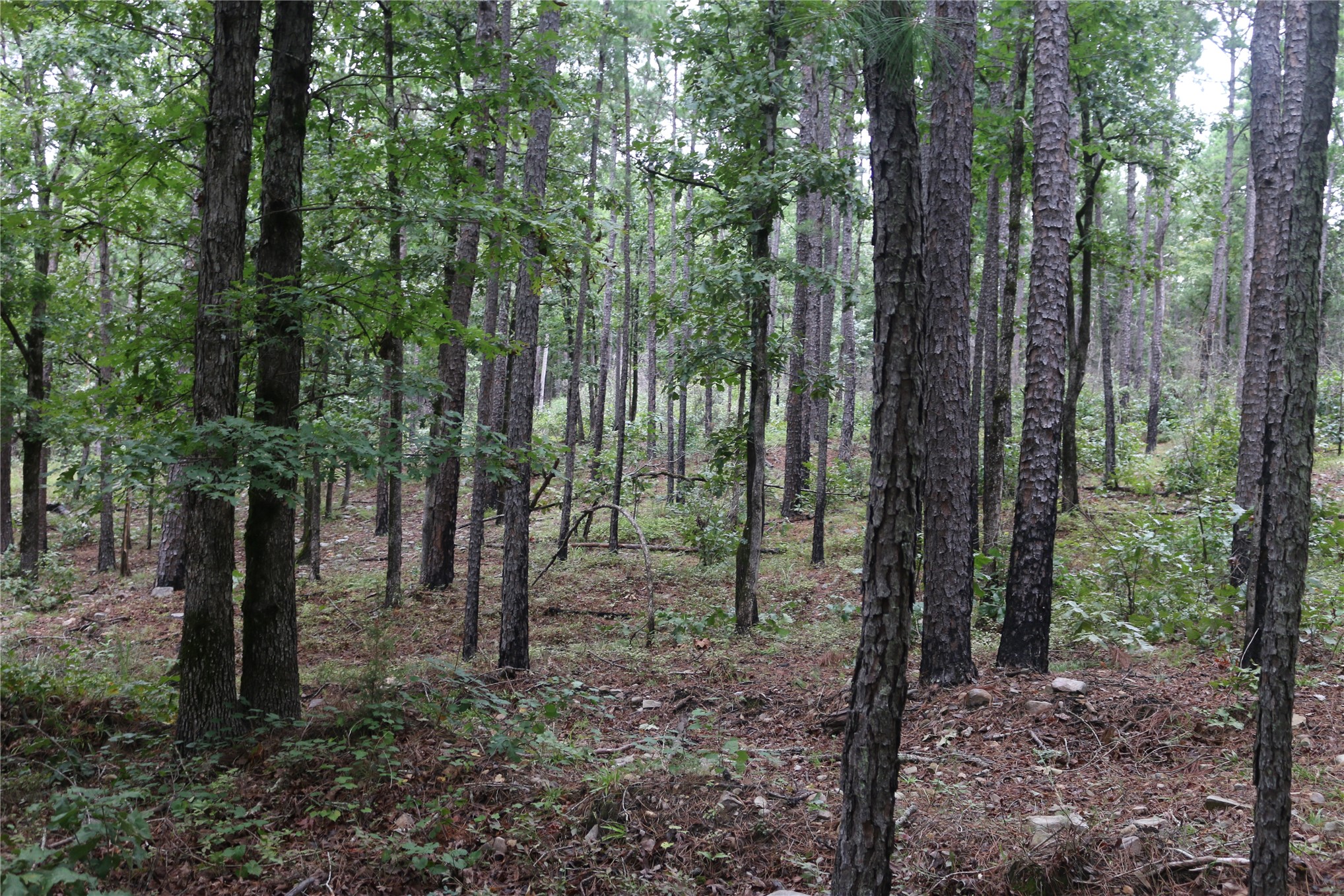 259 Highway Property Photo 44