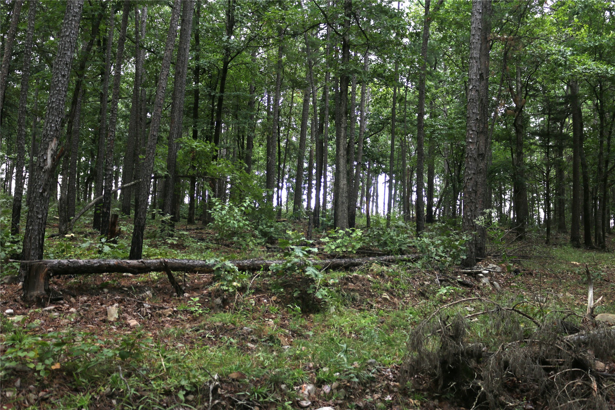 259 Highway Property Photo 46
