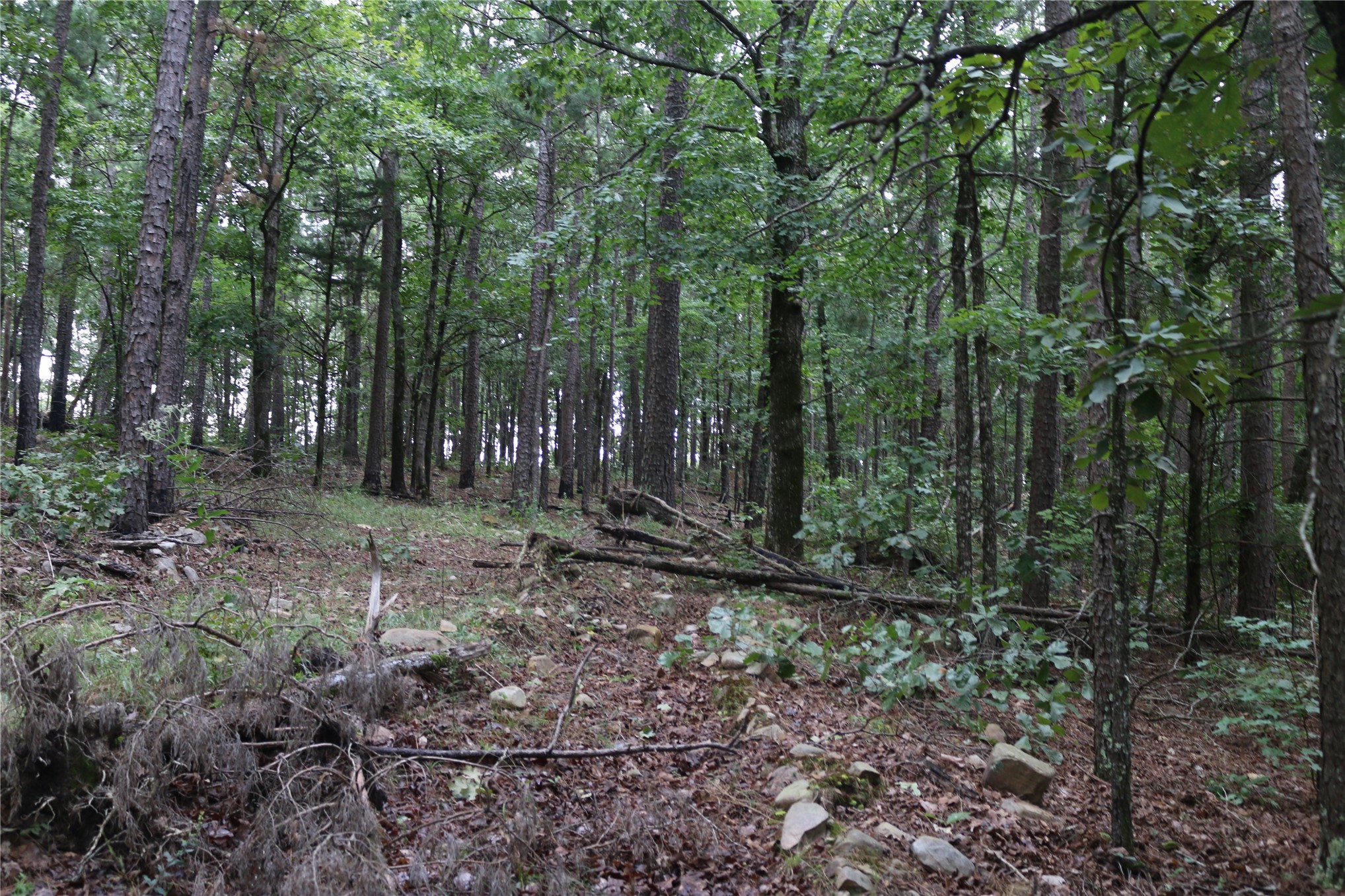 259 Highway Property Photo 47