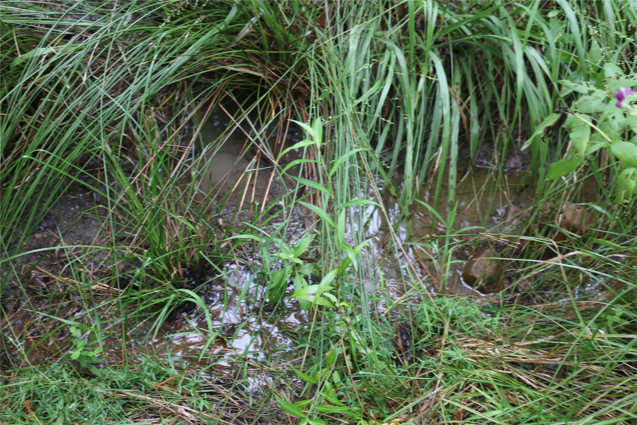 259 Highway Property Photo 48