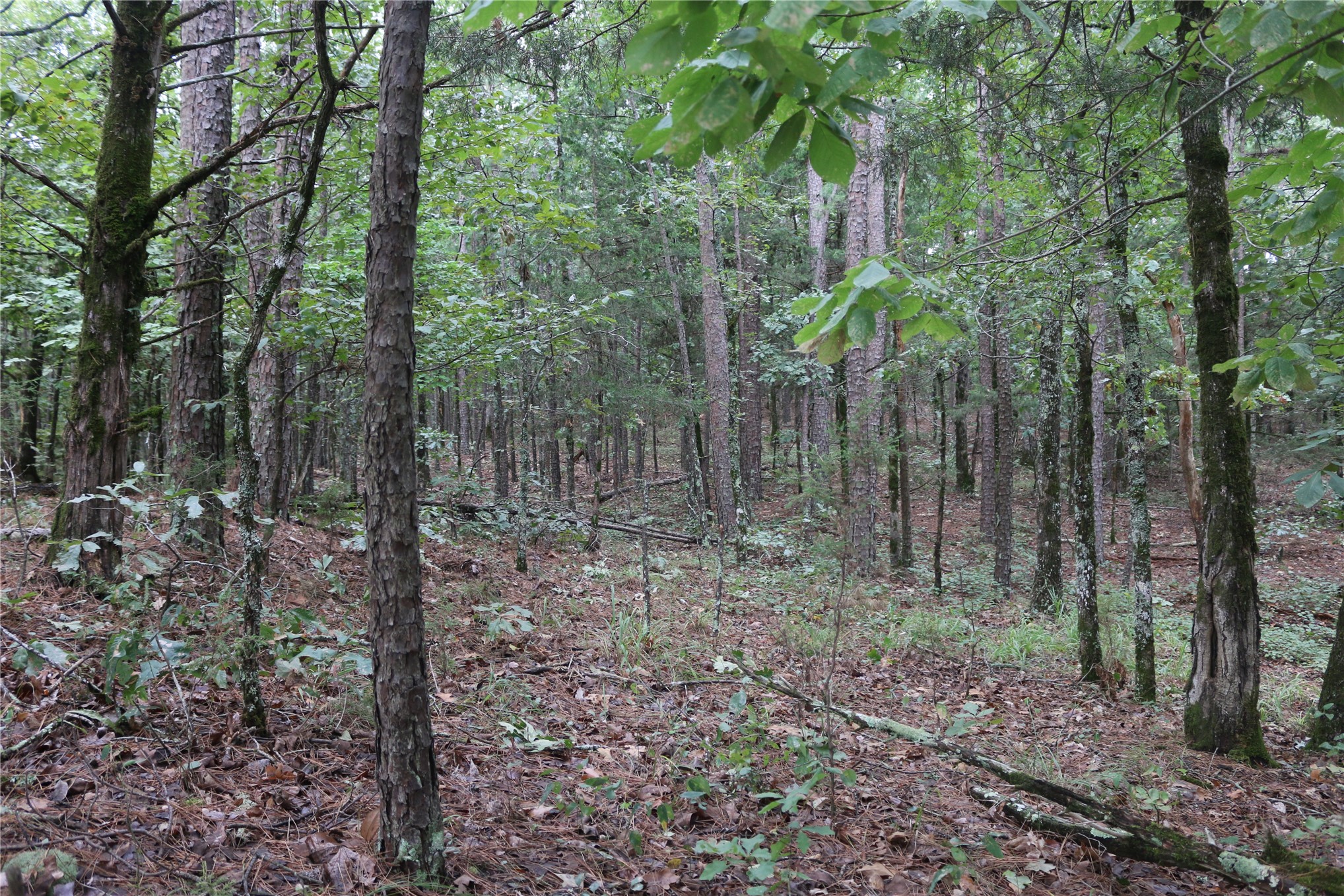 259 Highway Property Photo 49